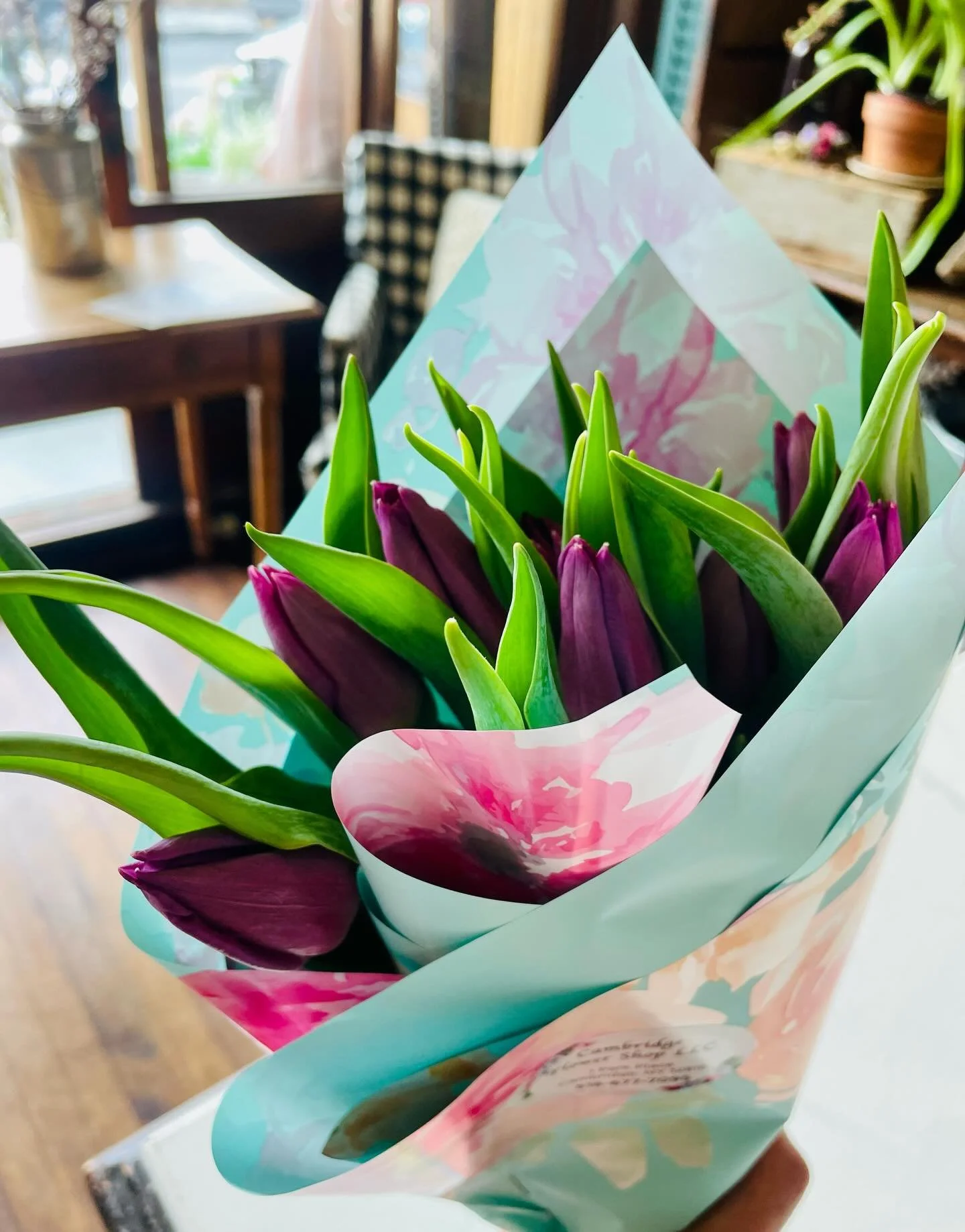Thanks so much for the gorgeous tulips, @cambridge_flowers518. You really brightened our day! I&rsquo;m so grateful to have amazing neighbors like you. Thank you! 🌷💕🌷💕
