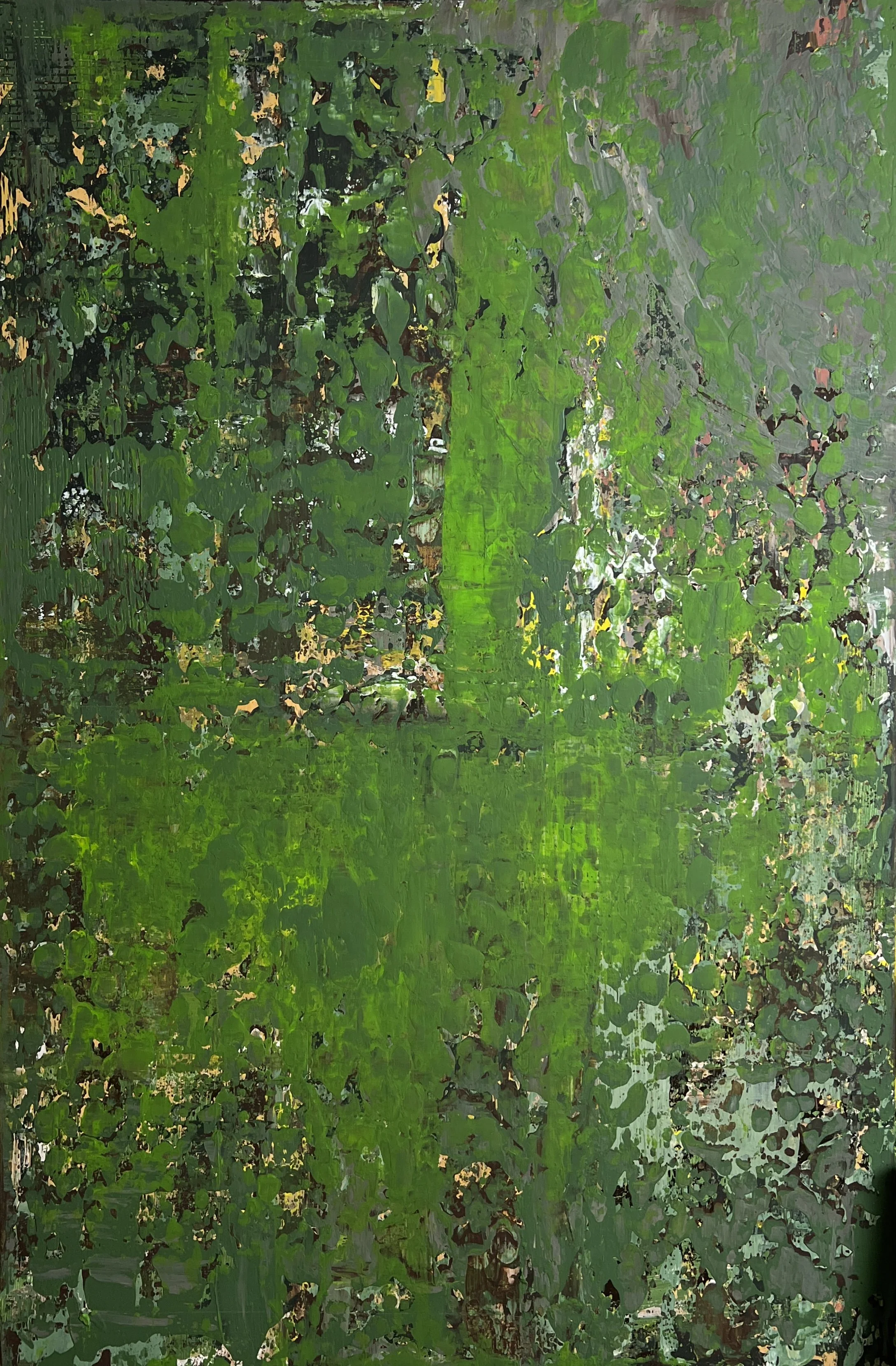 forest.jpg