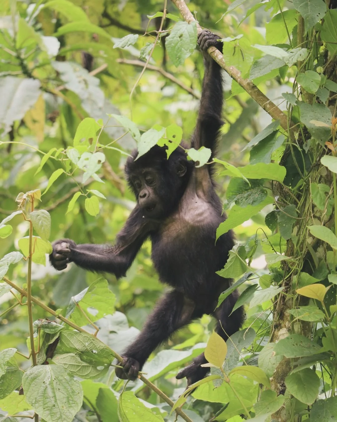 throwbek to 2016 ⏰

#2016