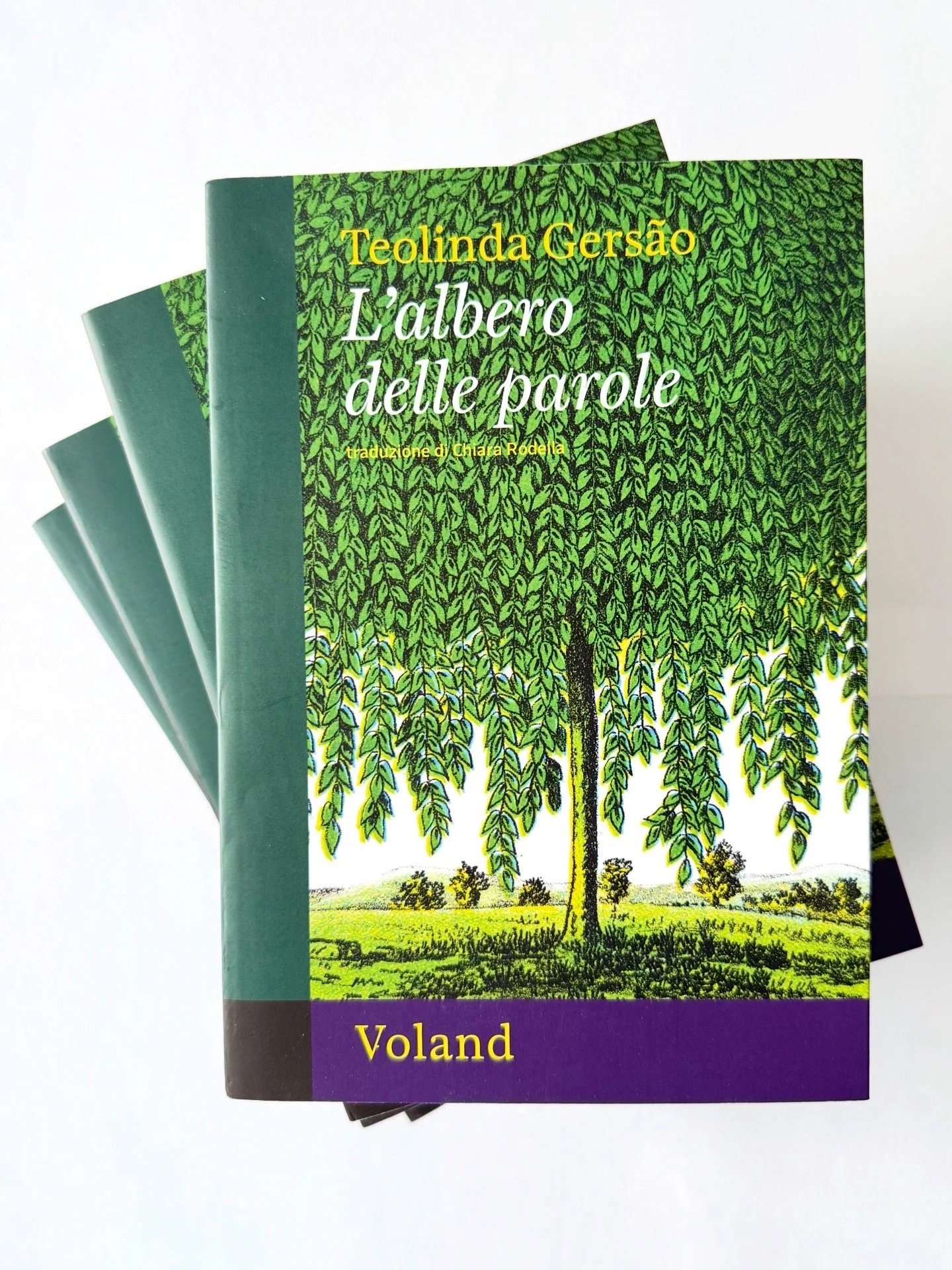 The novel “A Árvore das Palavras/ The Word Tree”, is published in Italian by Voland.