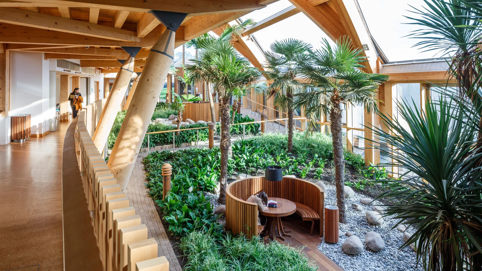 Navigating a Pathway to Net Zero