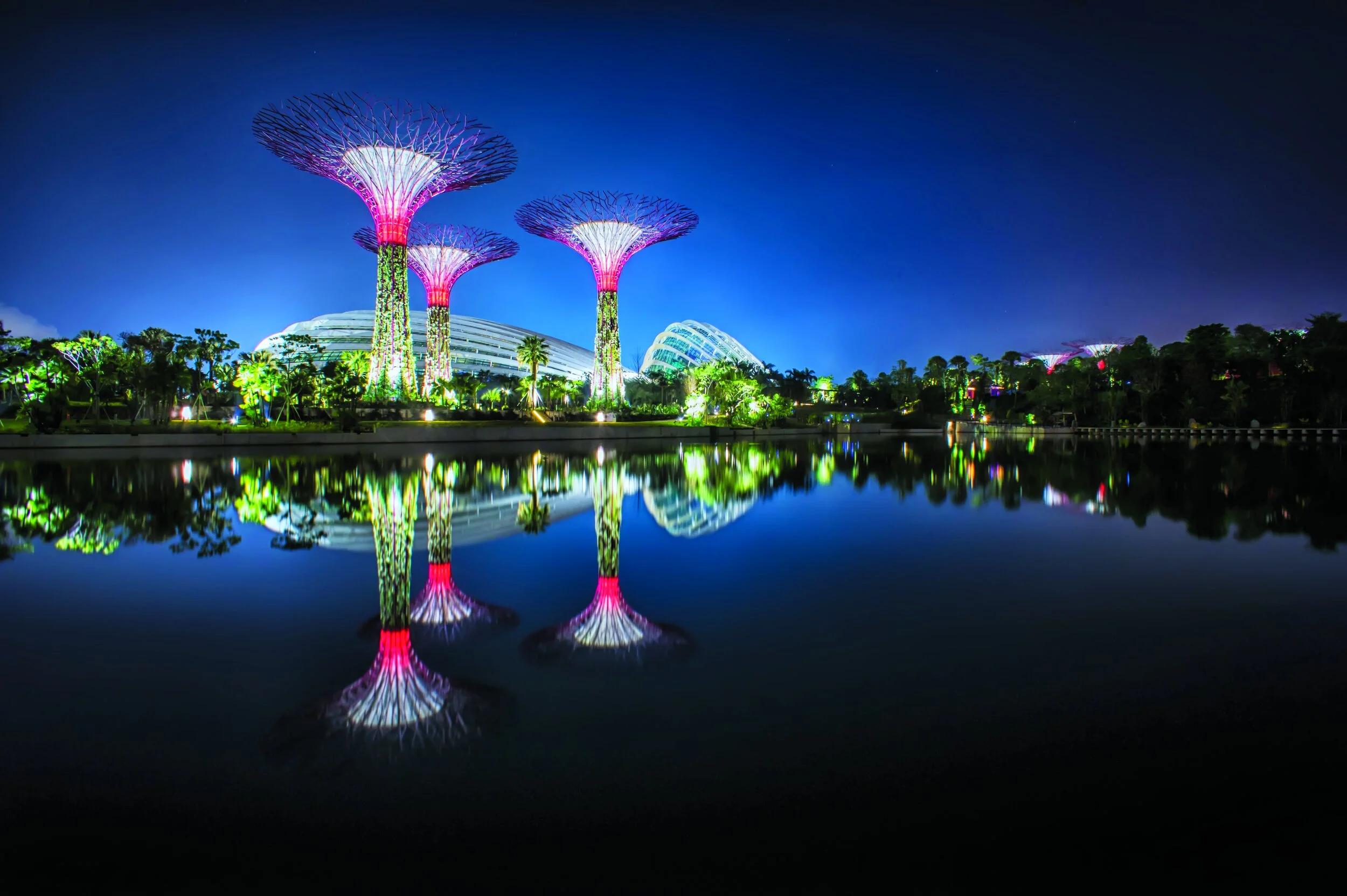 Sustainability and the road to net zero?