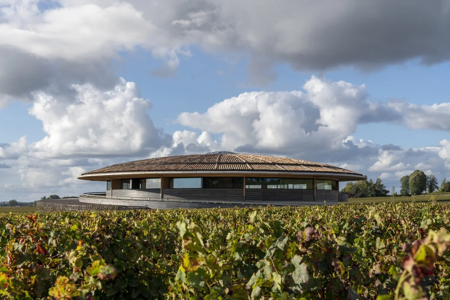 AIA UK Building Tour Series 2023 - Le Dôme Winery by Foster + Partners