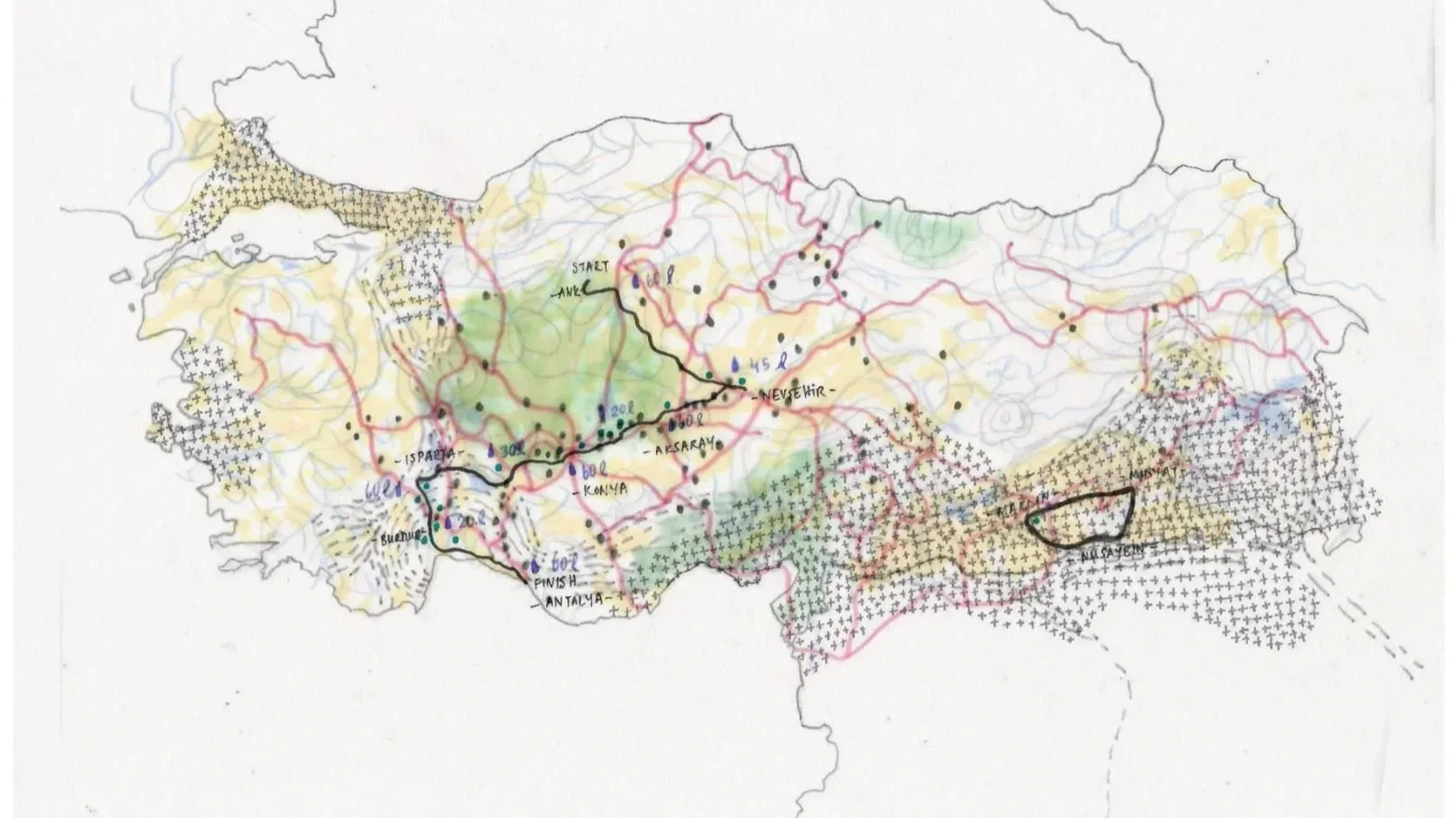Noel Hill Award Winner 2023