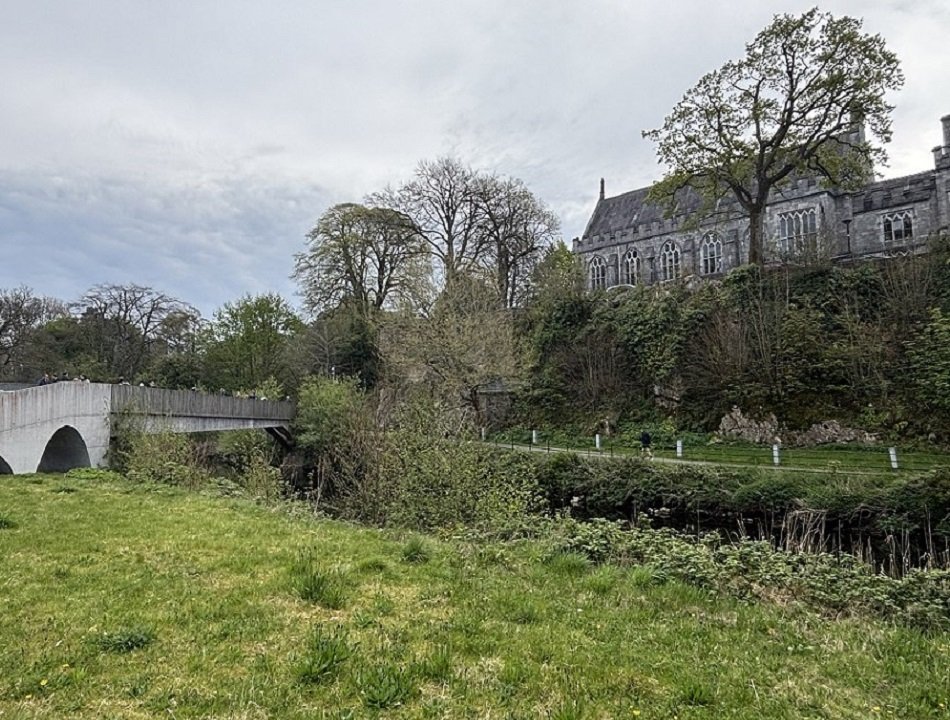 7 R1 Ef IMG_7212.JPG