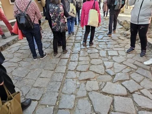 367.jpg