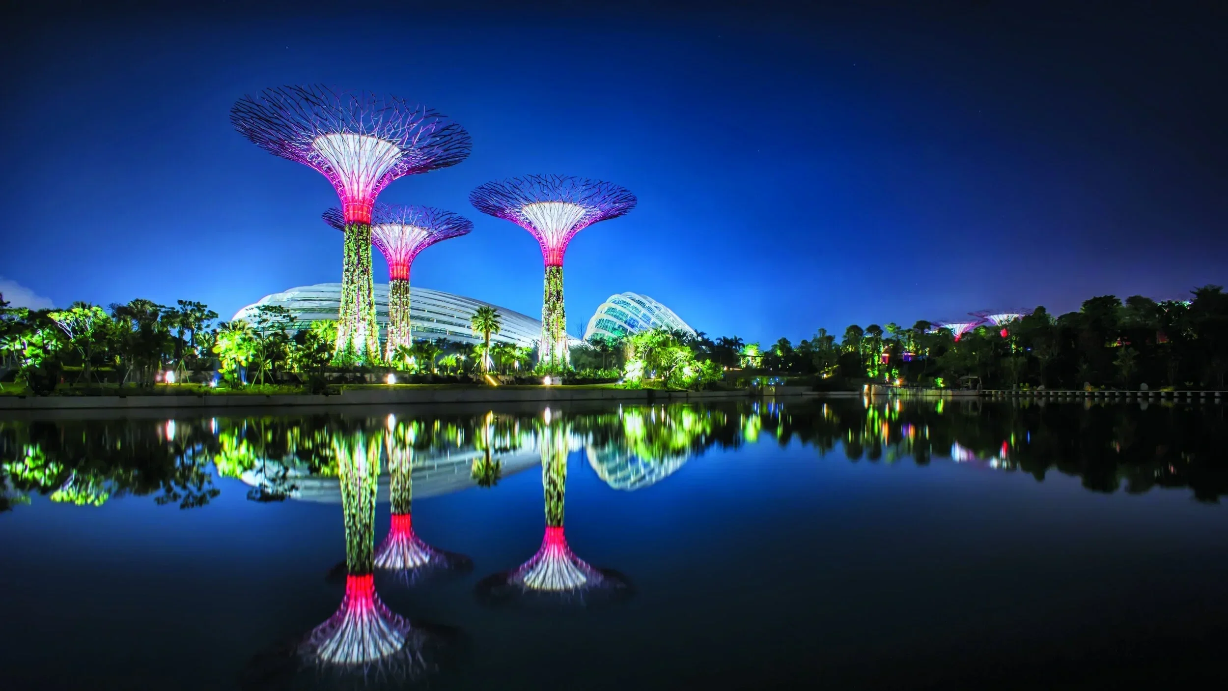 Sustainability and the road to net zero 2021