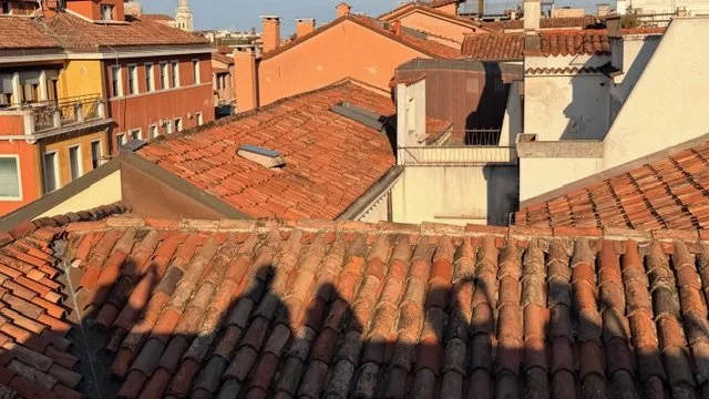 AIA UK and AIA CE - Venice Architecture Biennale Study Trip