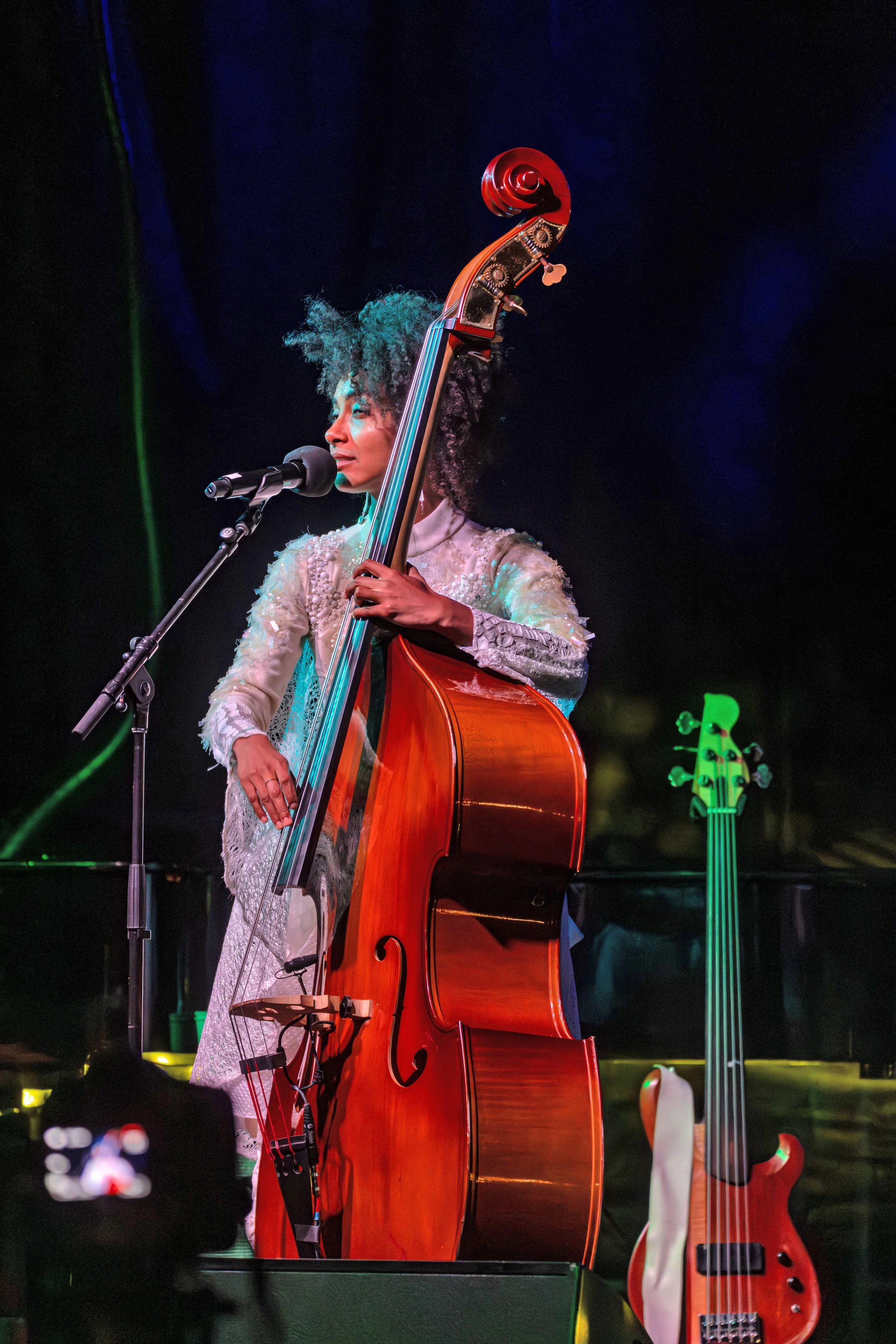 Esperanza Spalding