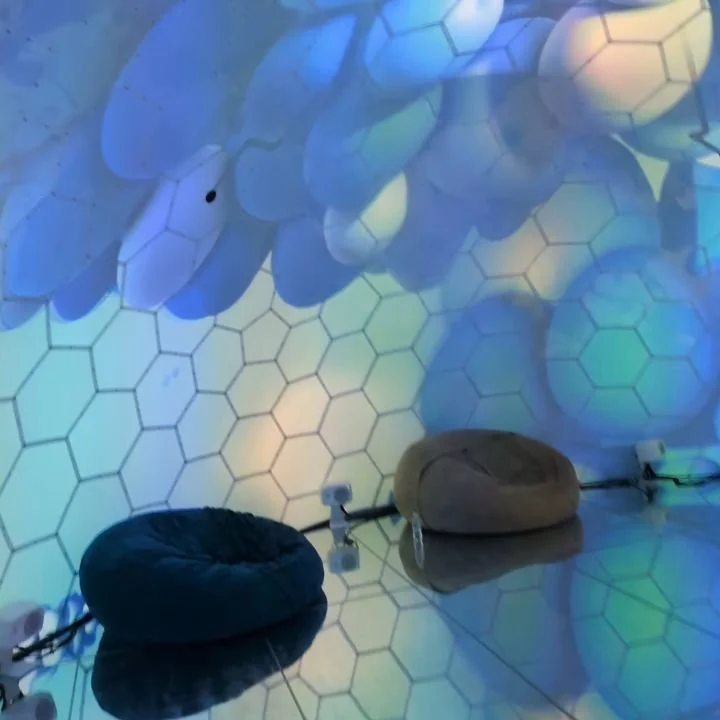 First time getting to work on a new exhibit l, this one was a supper fun one

@bubbleplanetexperience 

 They have quite a few around the US this is definitely worth the trip!