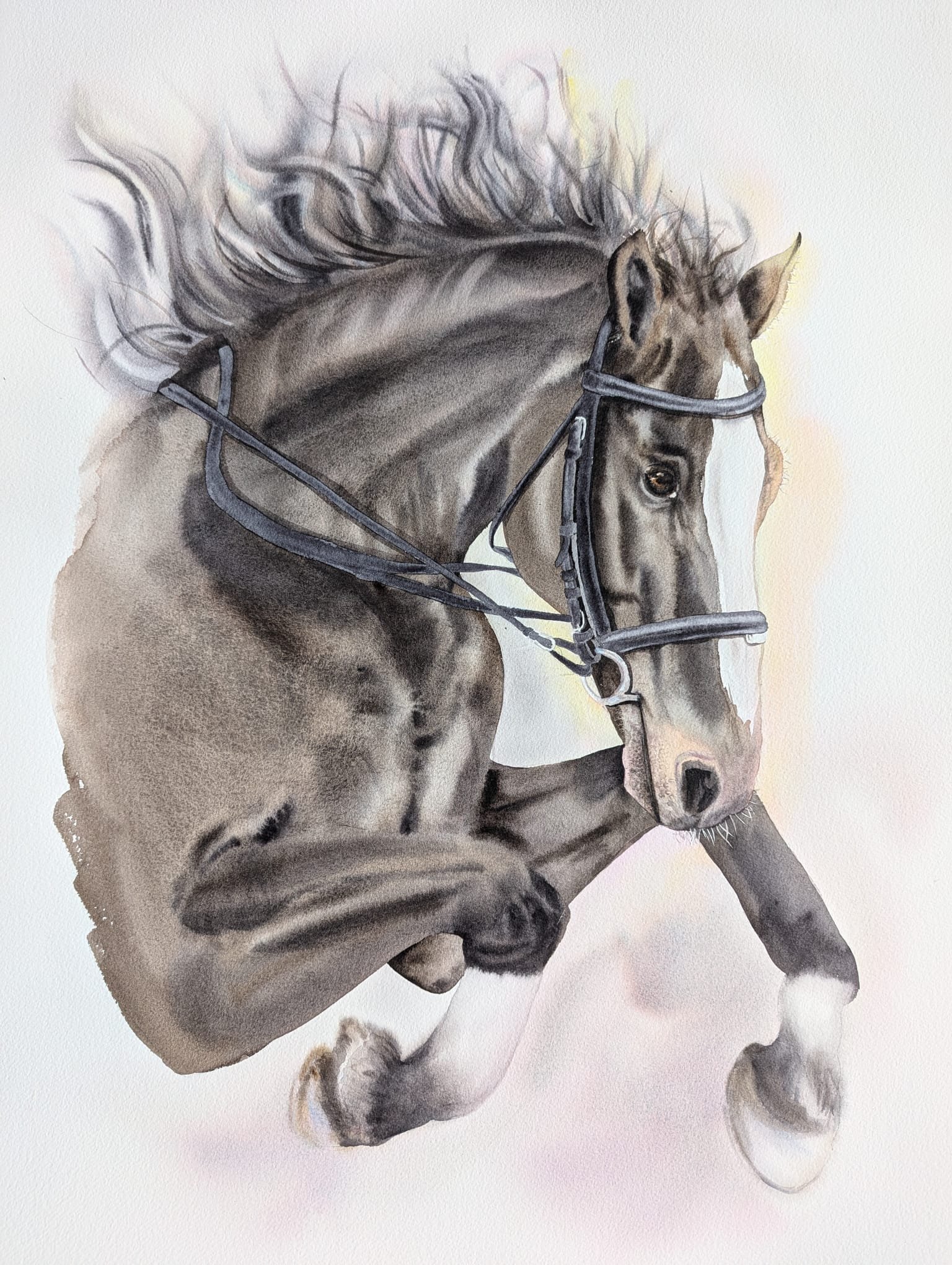 WhatsApp Image 2024-11-05 at 4.18.57 PM.jpeg