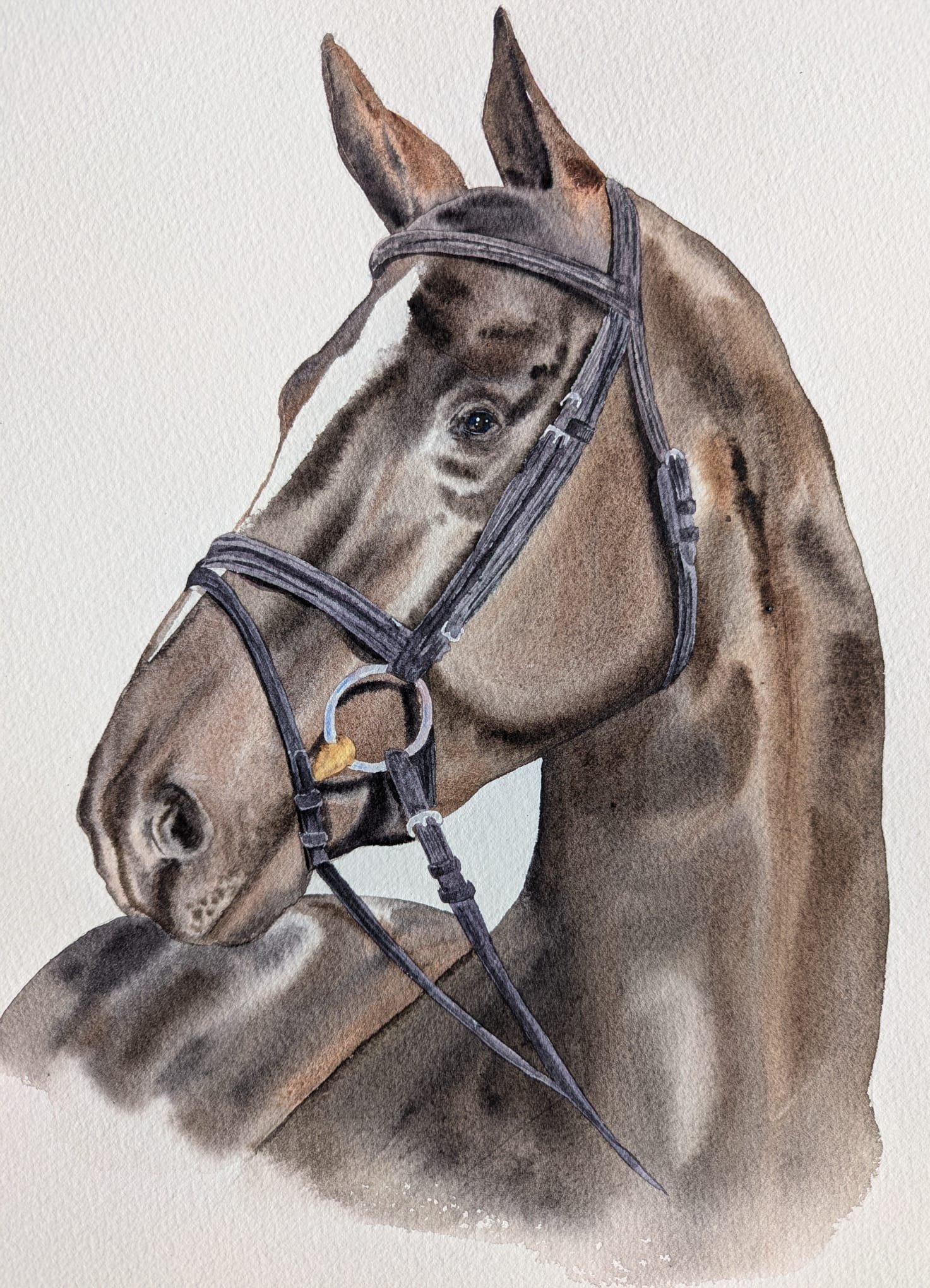 WhatsApp Image 2024-11-05 at 4.19.10 PM.jpeg