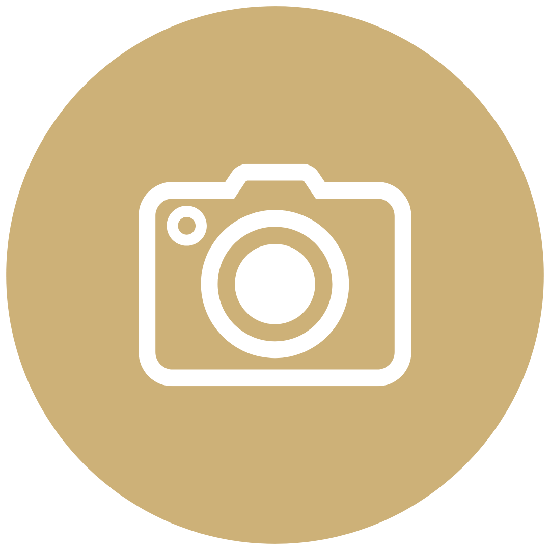 Icon of a camera on a beige circular background.