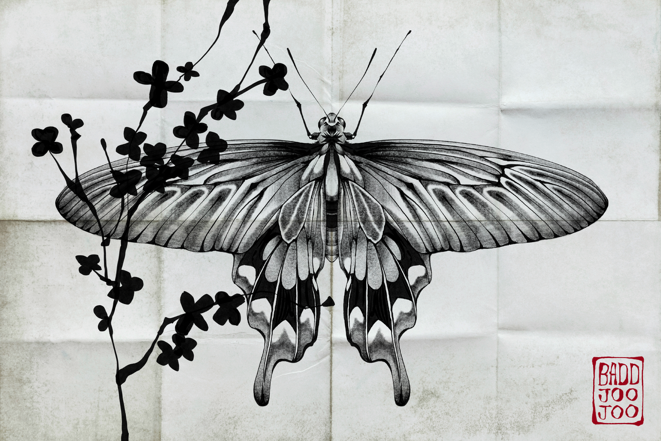 IMG_1648 1.PNG