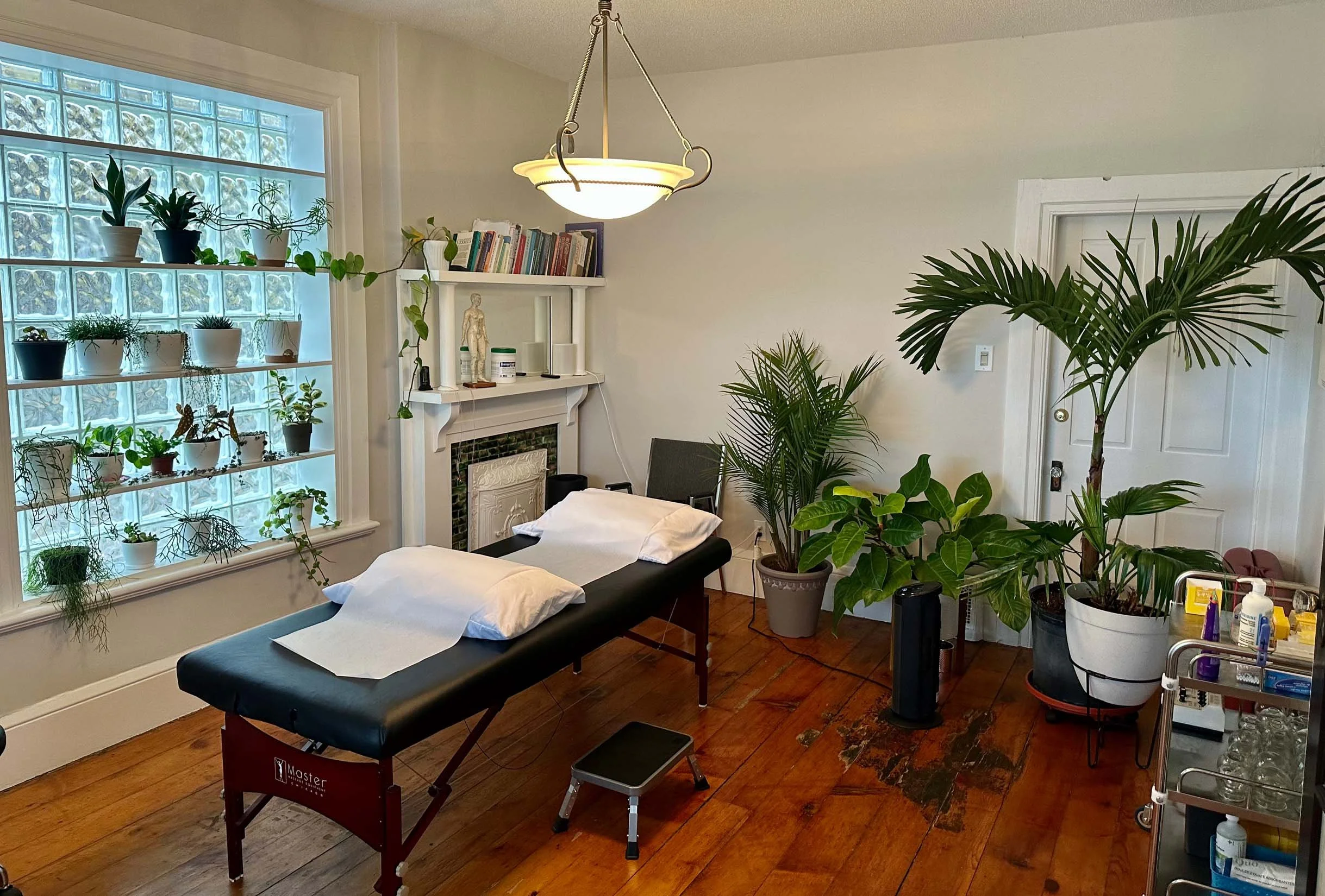 Lambeth Acupuncture & Physiotherapy Wellness Centre London Ontario