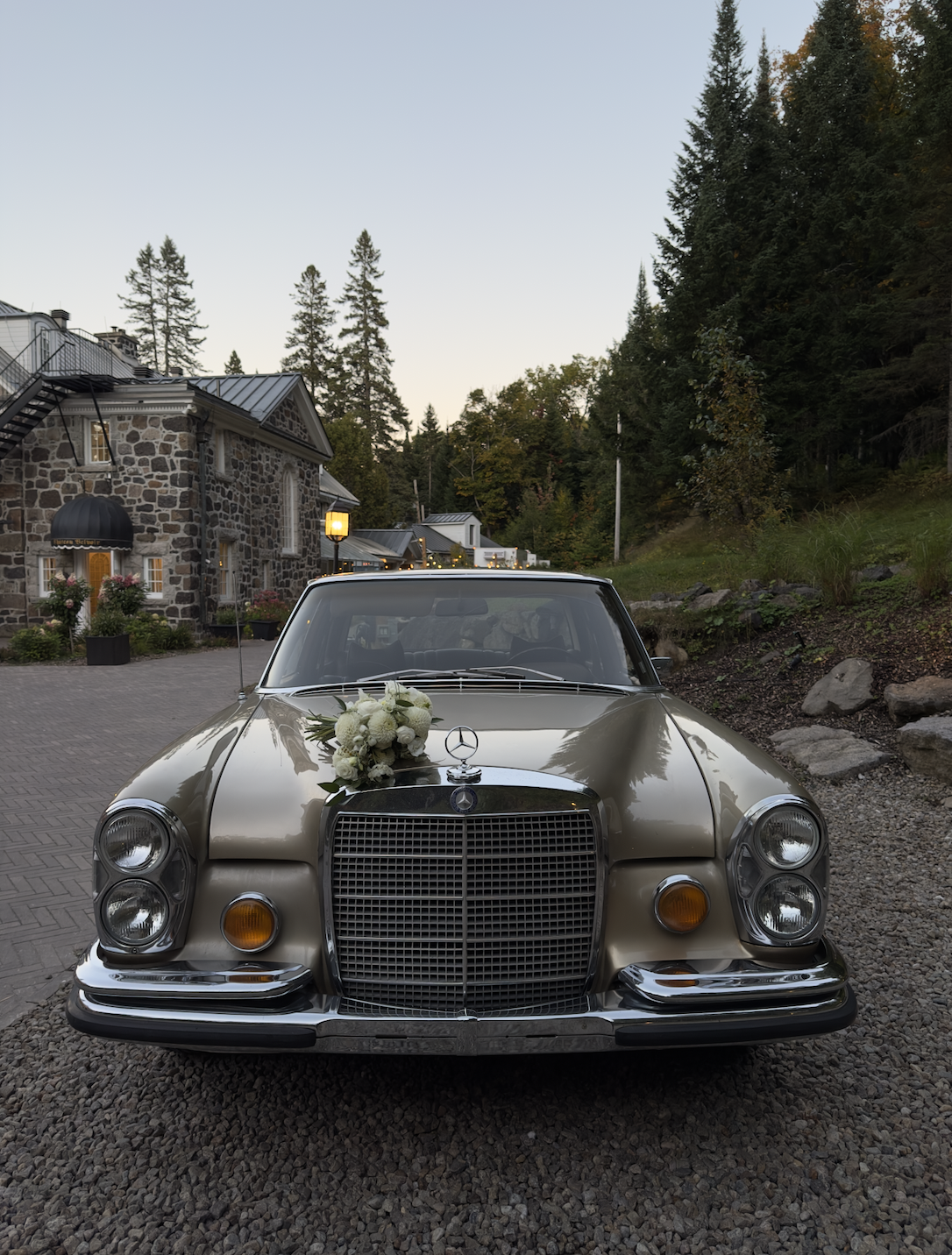 Screenshot 2026-01-15 at 11.42.44 AM.png