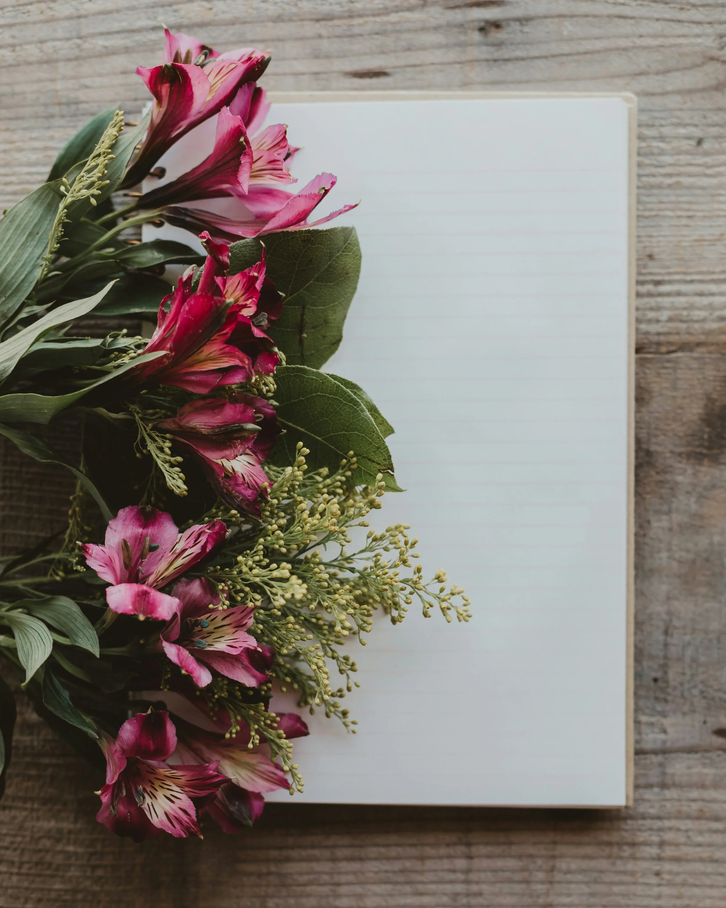 90-Minute Deep Dive Session ~ Your story matters. Let’s walk together as you navigate healing, clarity, and transformation through a biblical lens.