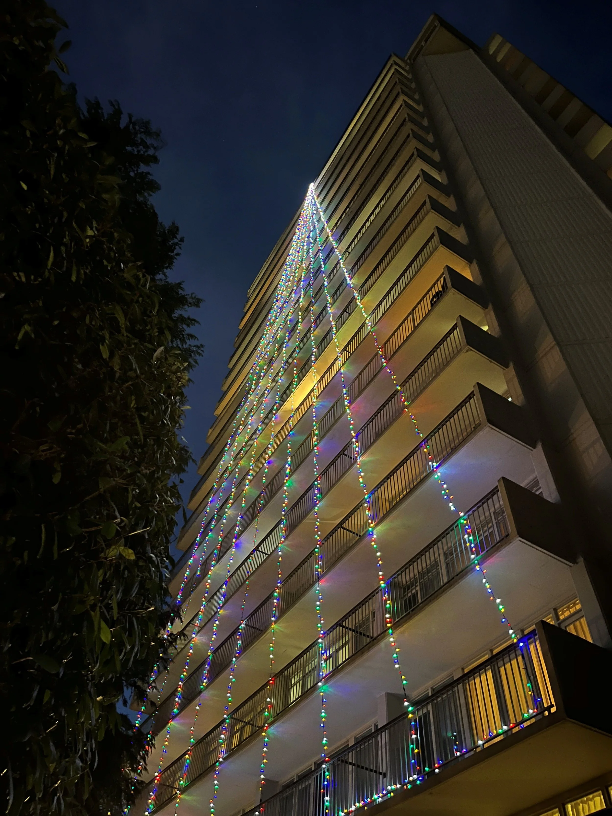 Christmas lights.jpg