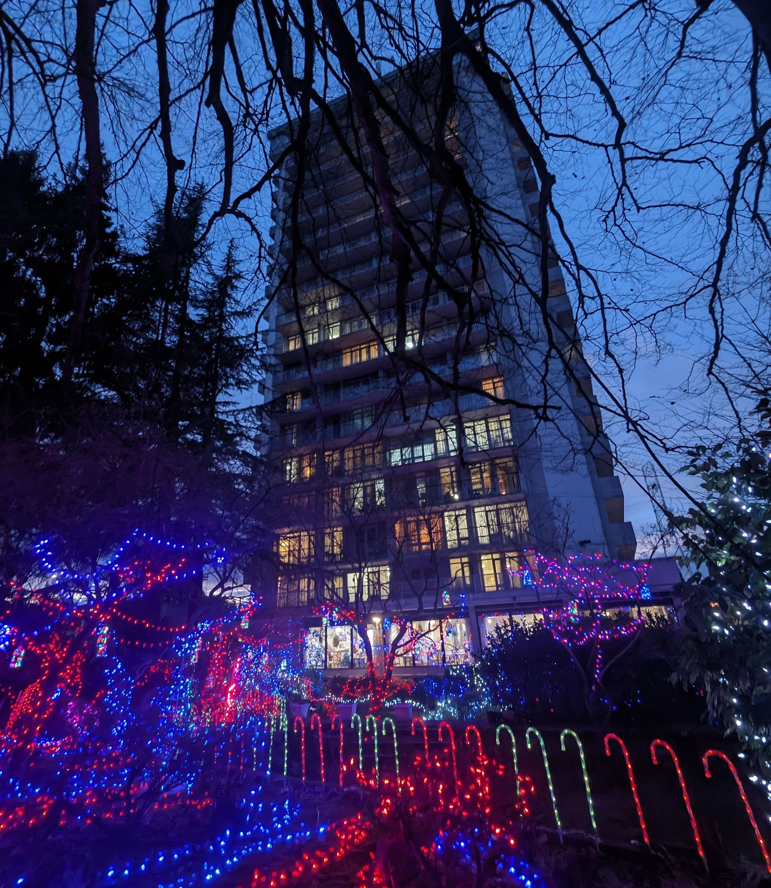 Tower at Christmas cropped.jpg