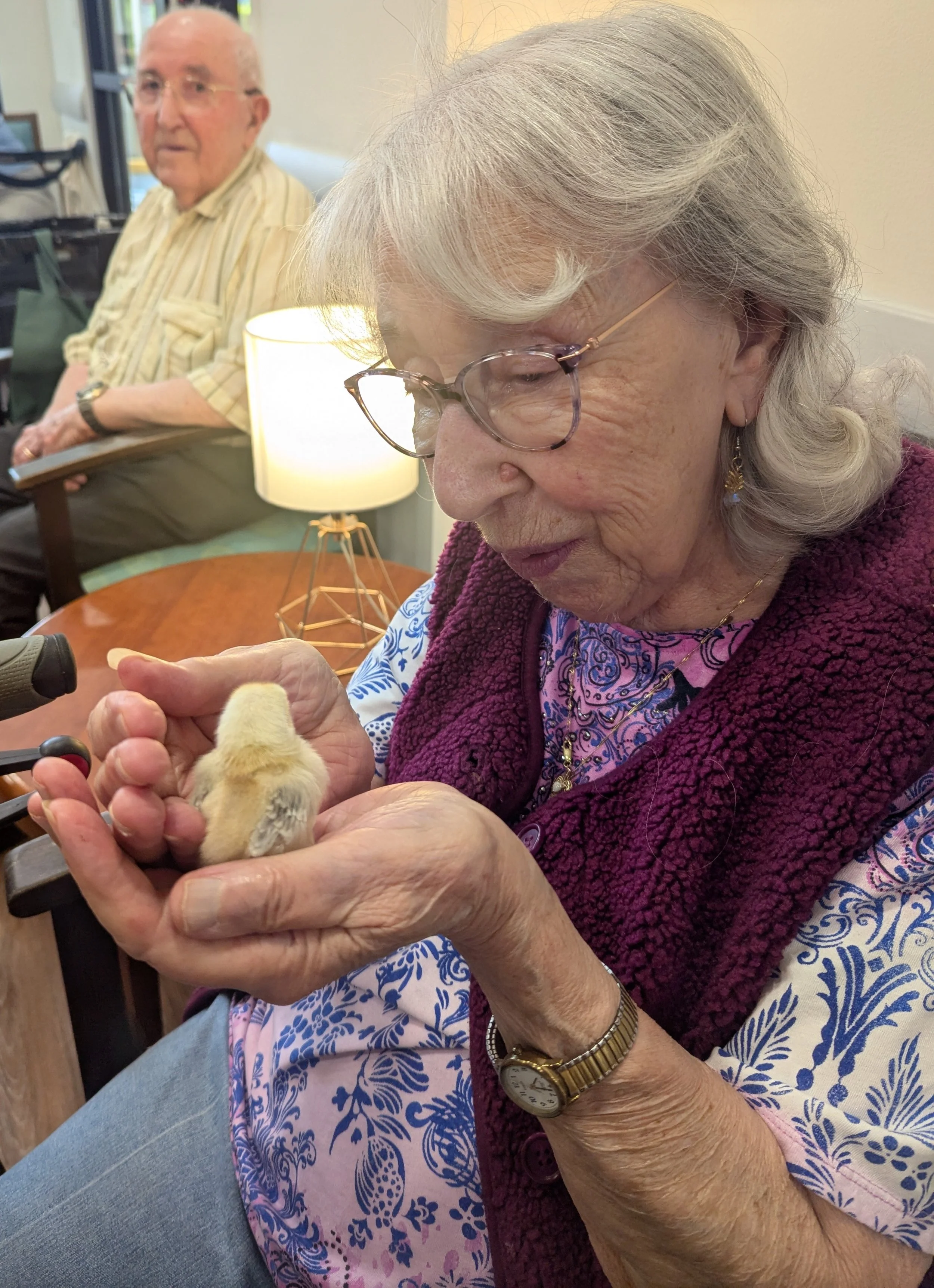 Chick.jpg