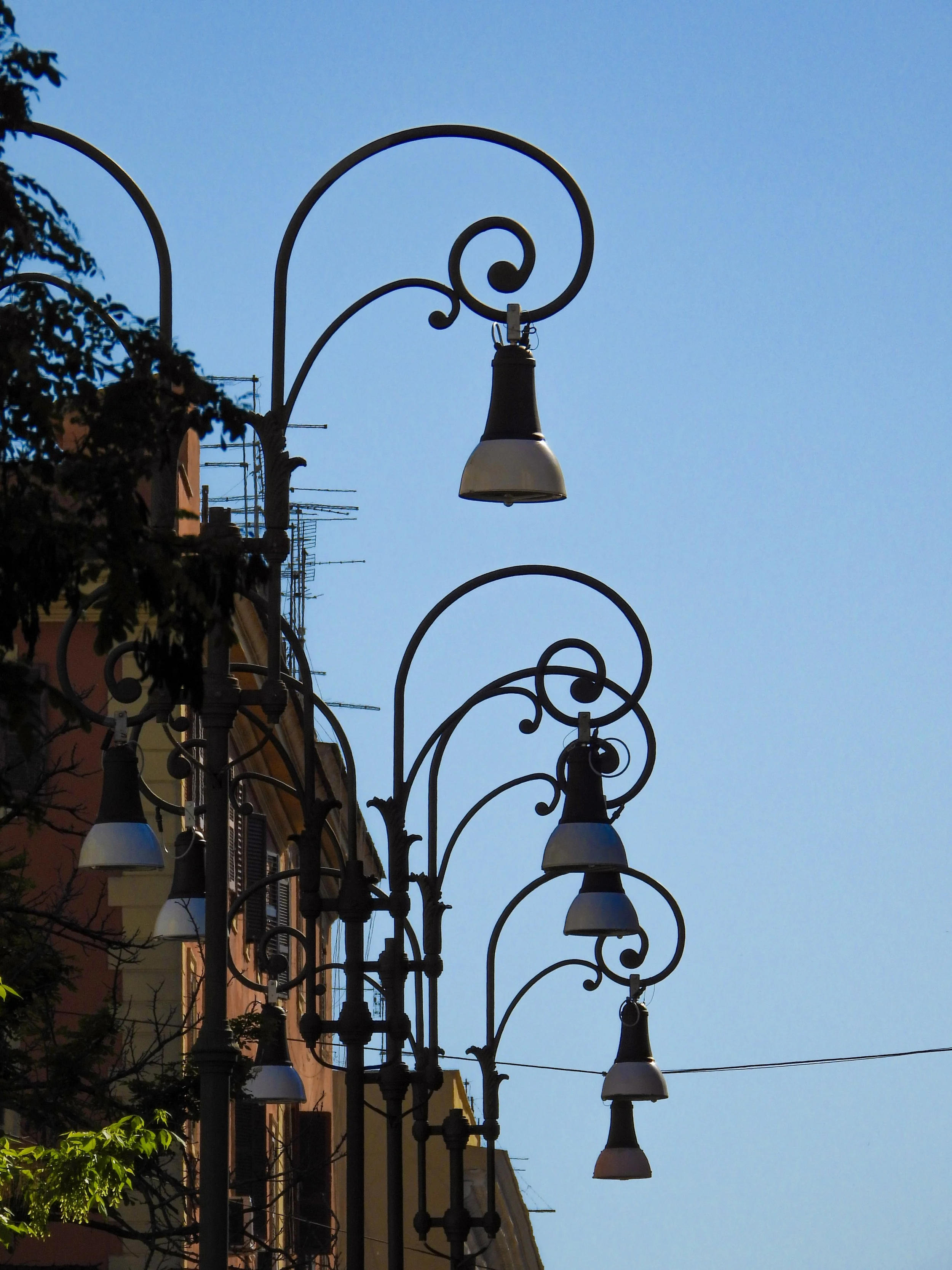DSCN1965.jpg