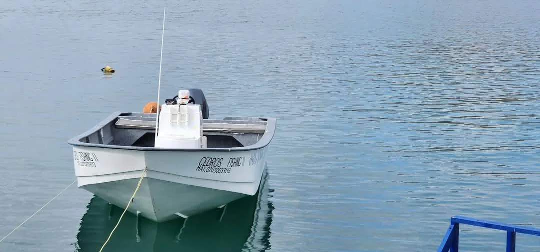 Panga-style fishing boat at anchor near Cedros, ready for a day on the water.