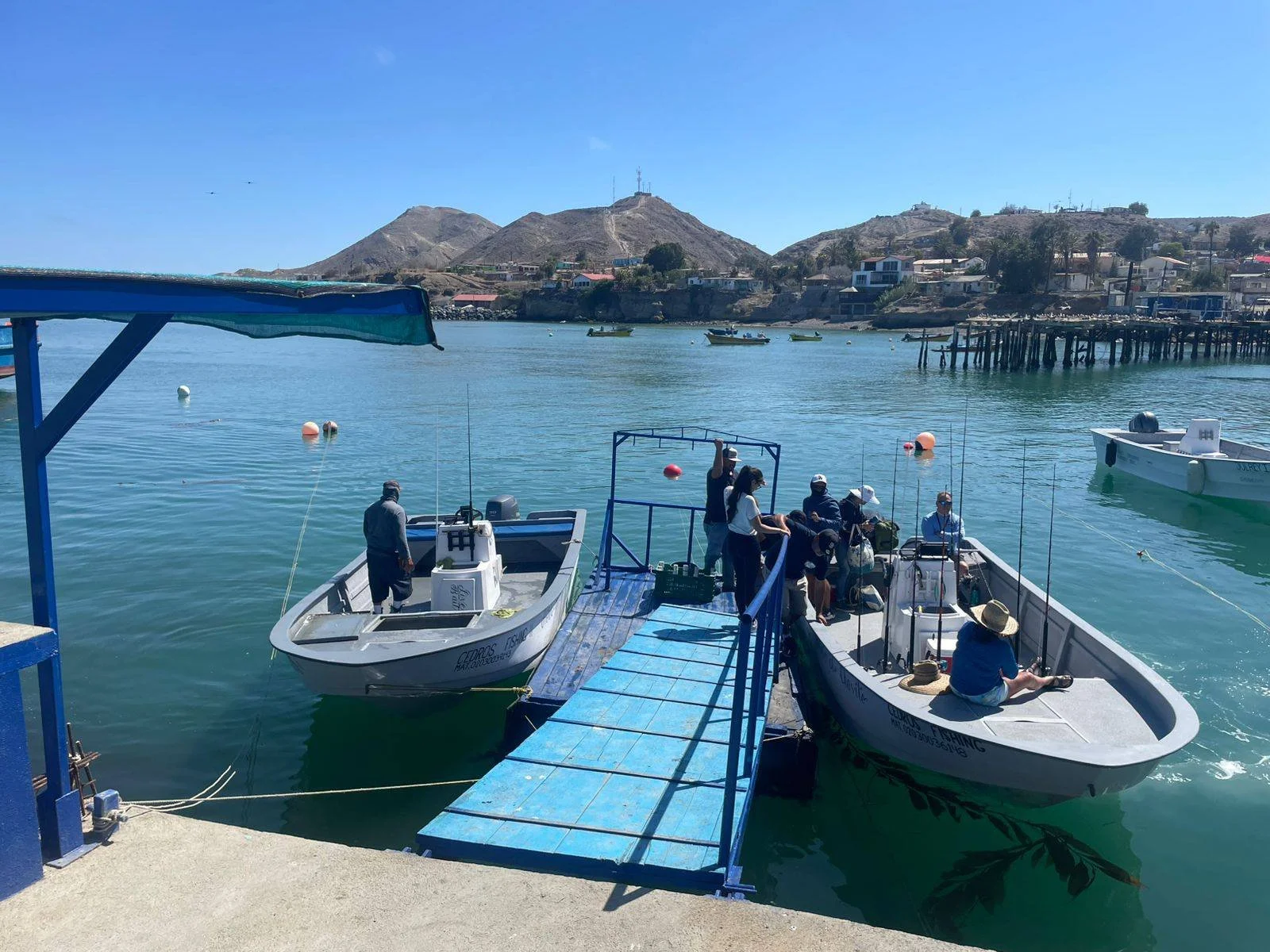 Pangas tied up at the pier with hillside homes in the background on Cedros Island.
