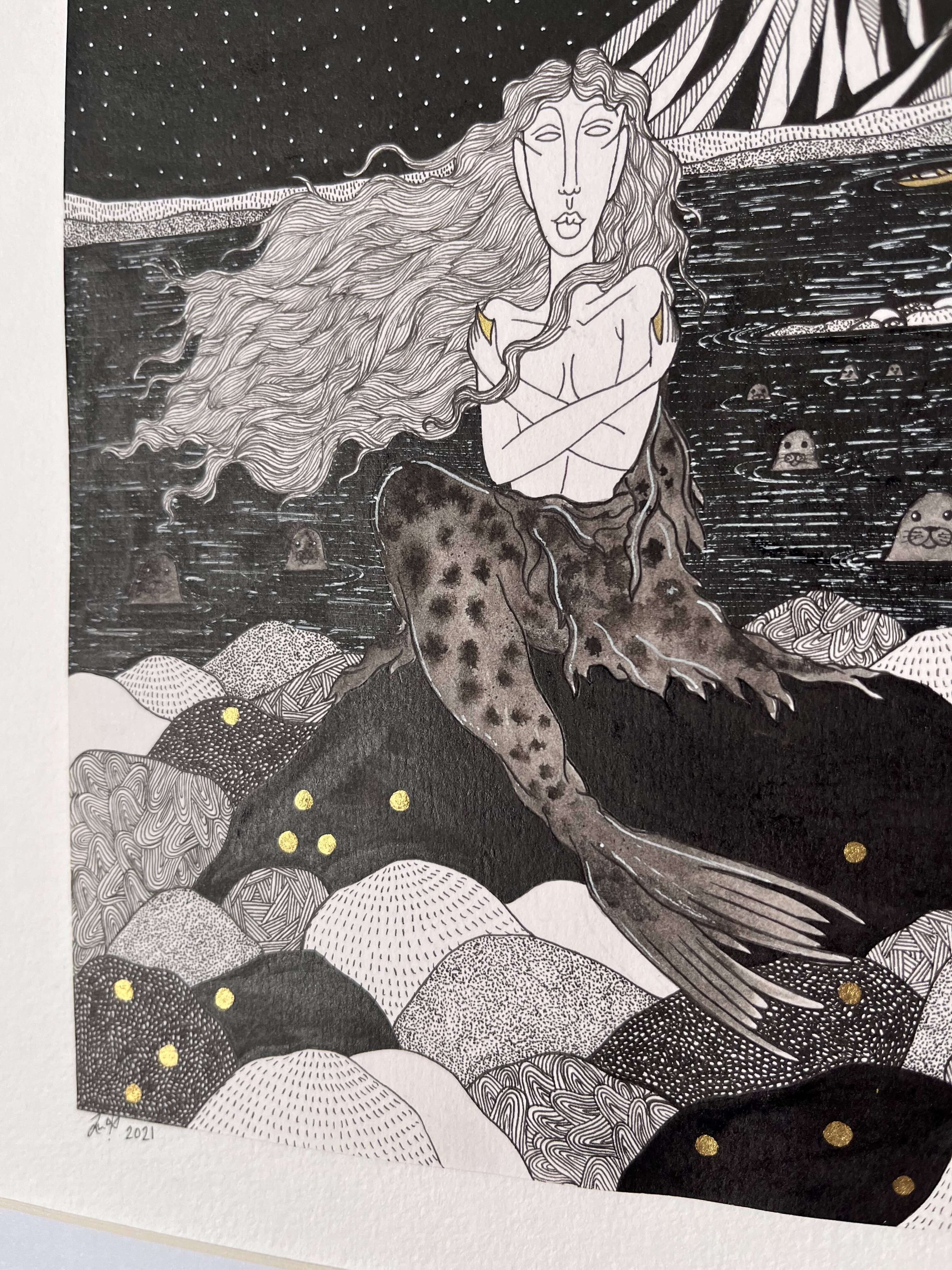 Seal Illustration Art -  Jessica Donnelly Artist.jpeg