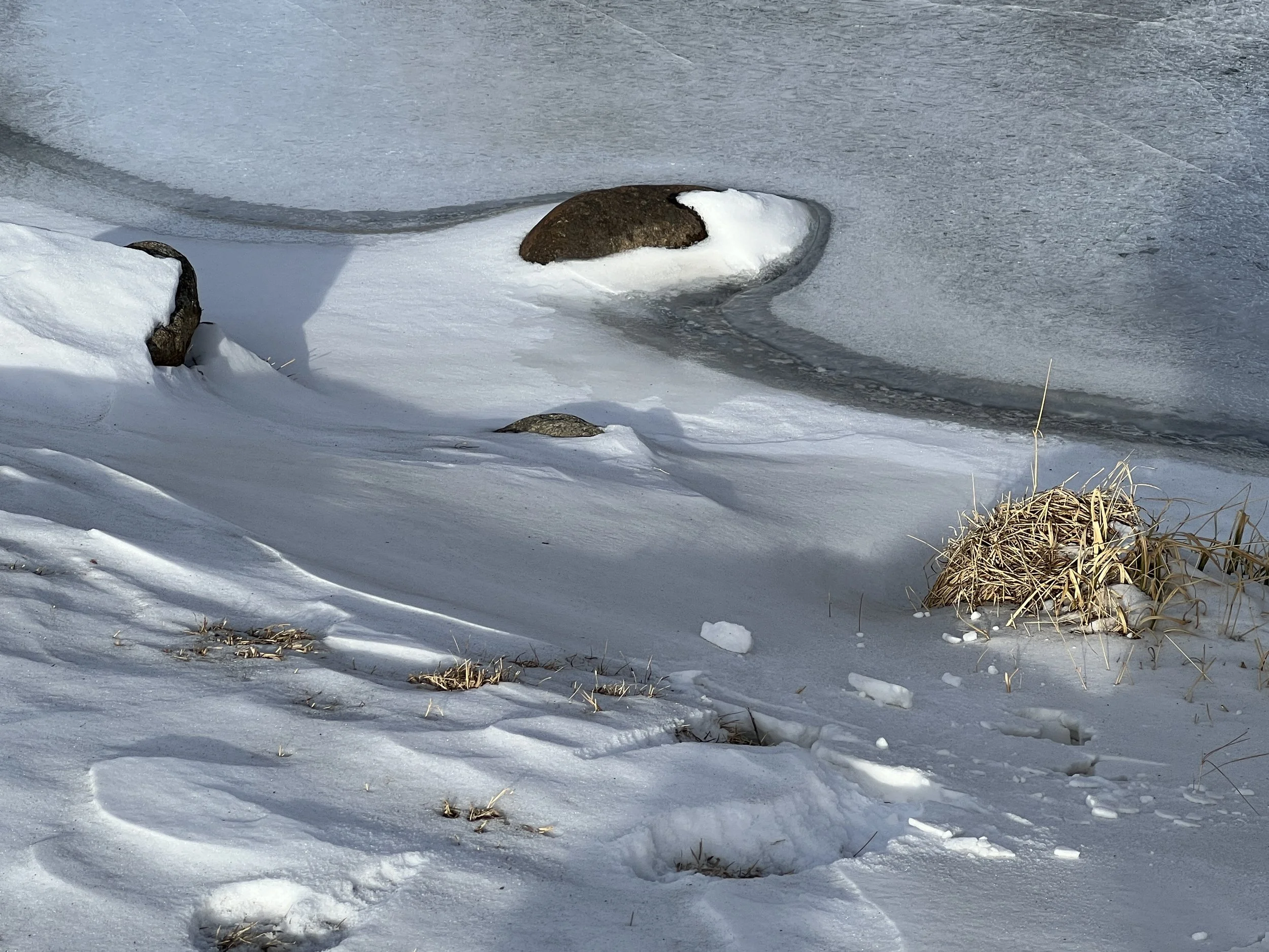 Ice & snow patterns—nice to see as we are having a too-warm winter!