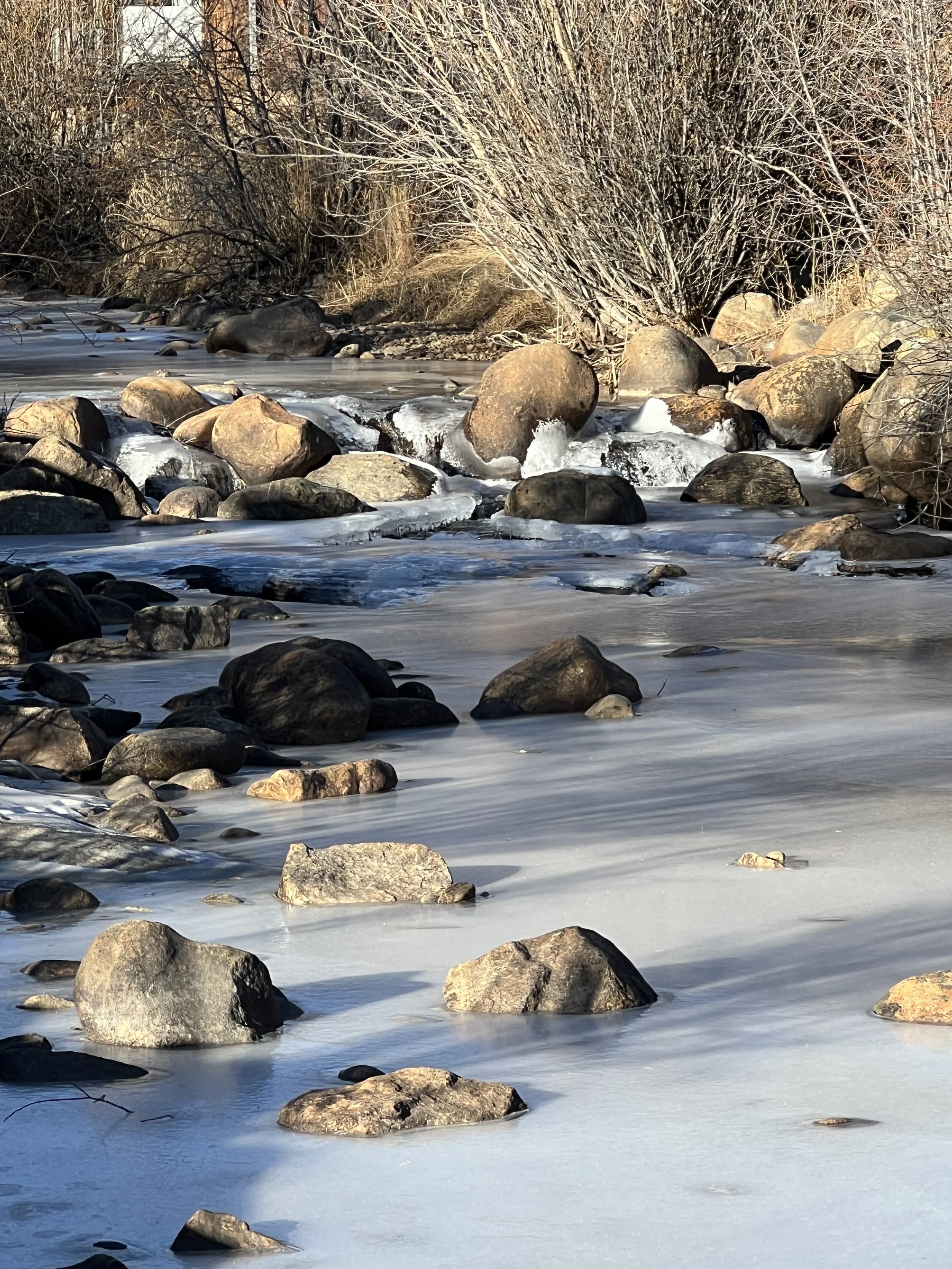 Decemer 31, 2025: The ice finally forms on Middle Boulder Creek just across the road from home.