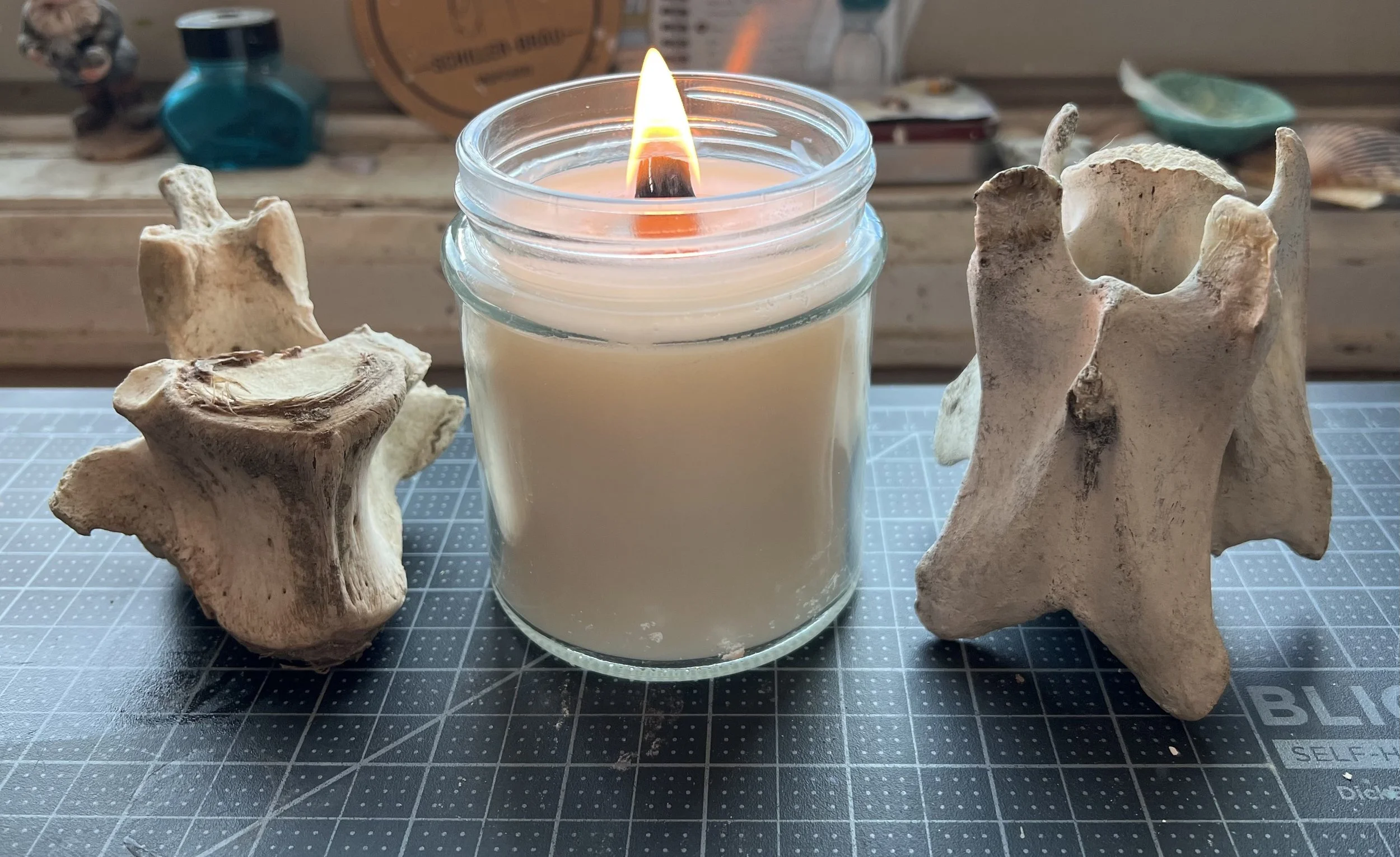 A candle, and bones my dog found during walks, in my studio. The shapes are inspiring ceramic forms in my head.
