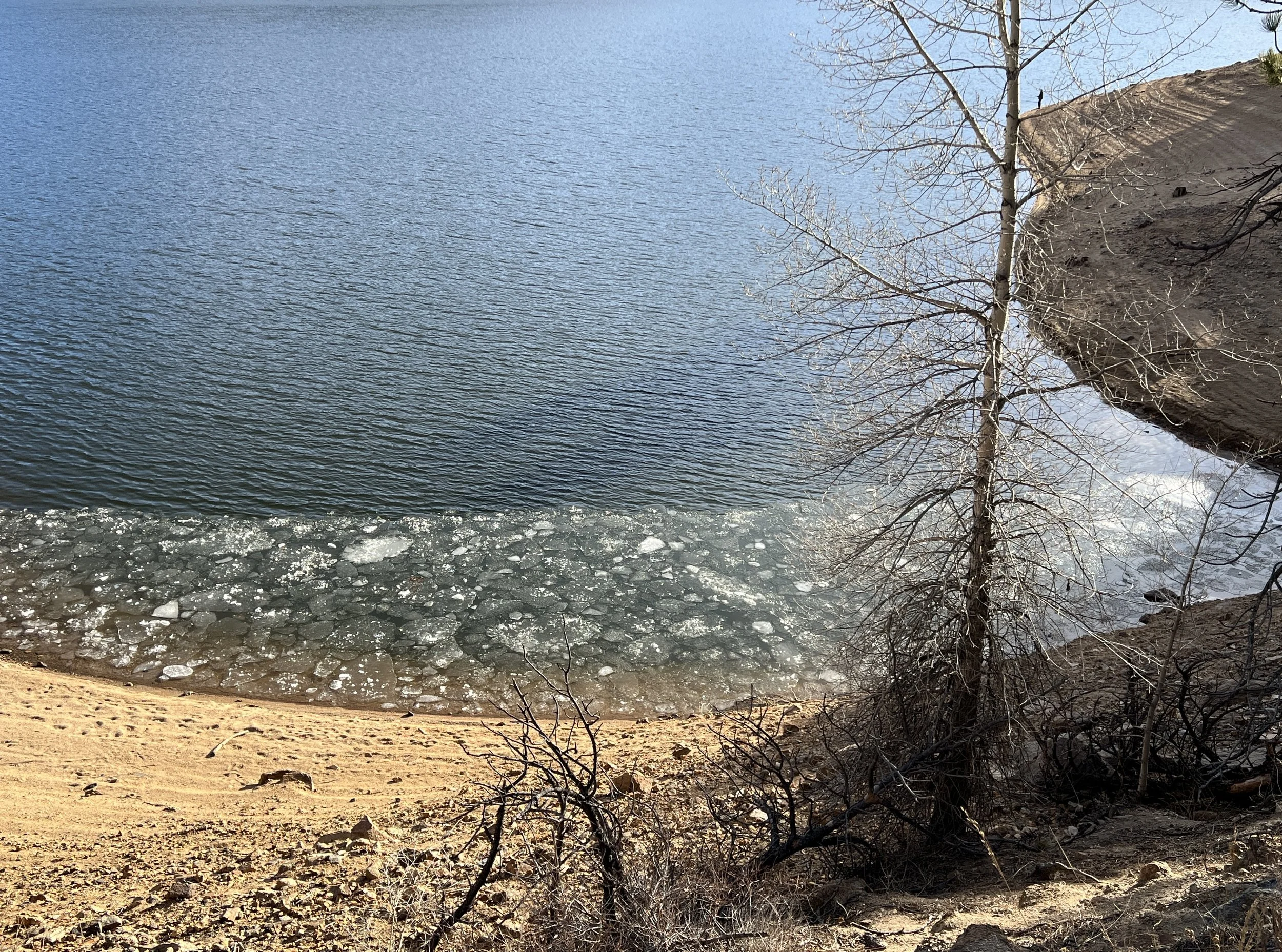 A too-warm early January 2026. What was left of the ice on the local reservoir.