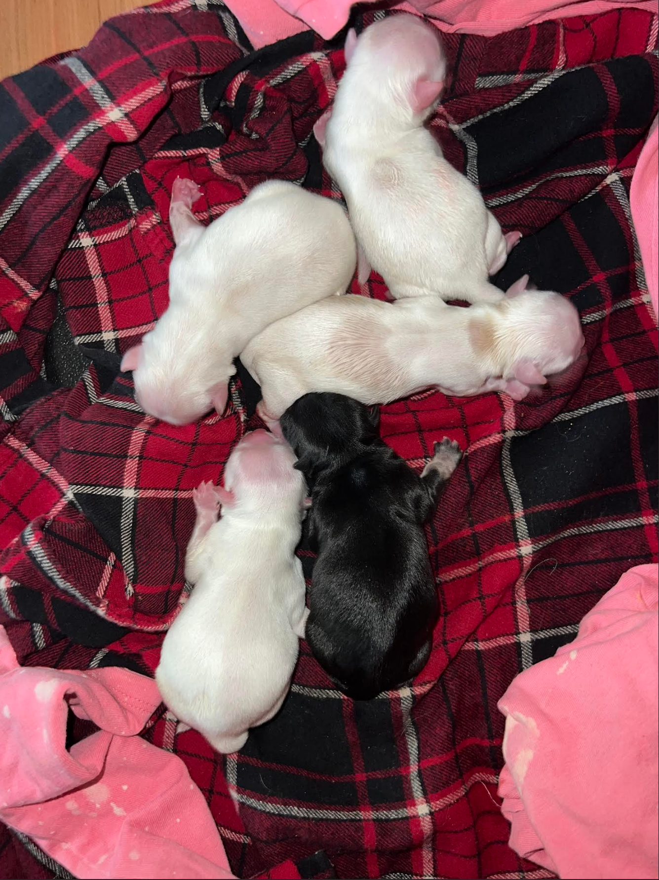 Screenshot 2026-04-27 161938.png