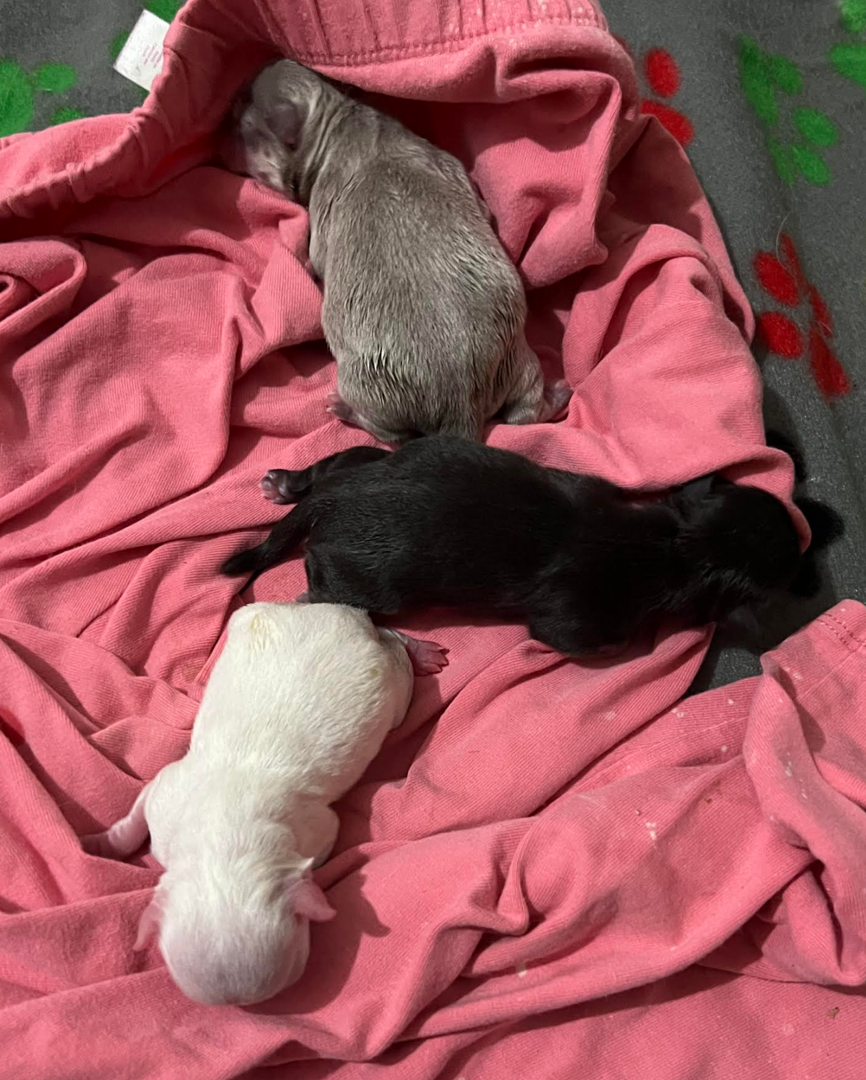 Screenshot 2026-04-27 162012.png