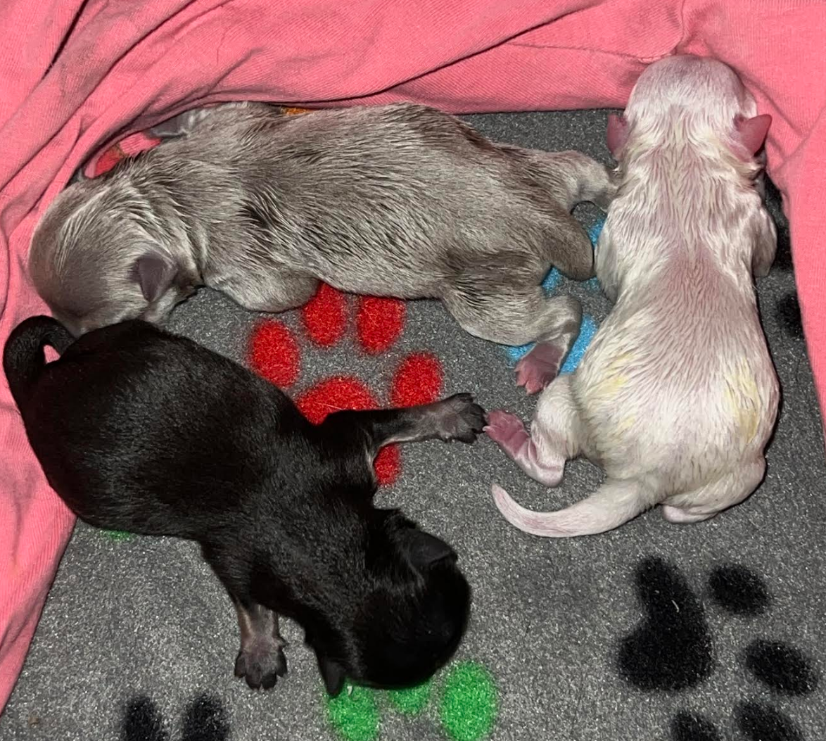 Screenshot 2026-04-27 162036.png