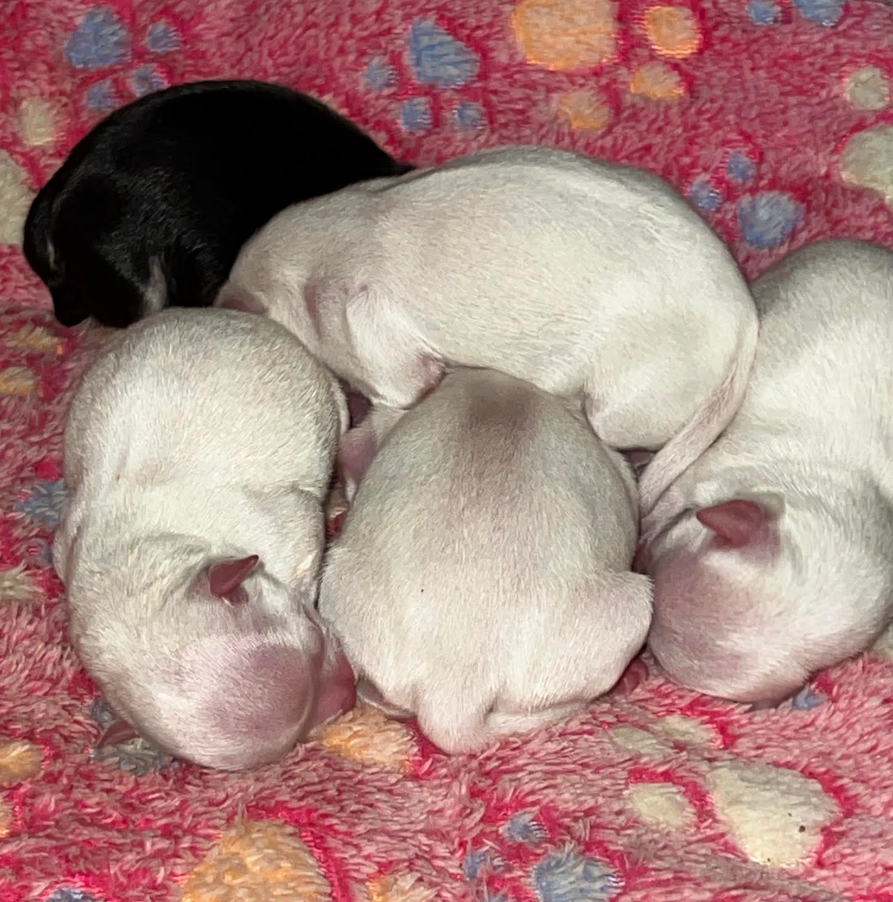 Screenshot 2026-04-27 162048.png