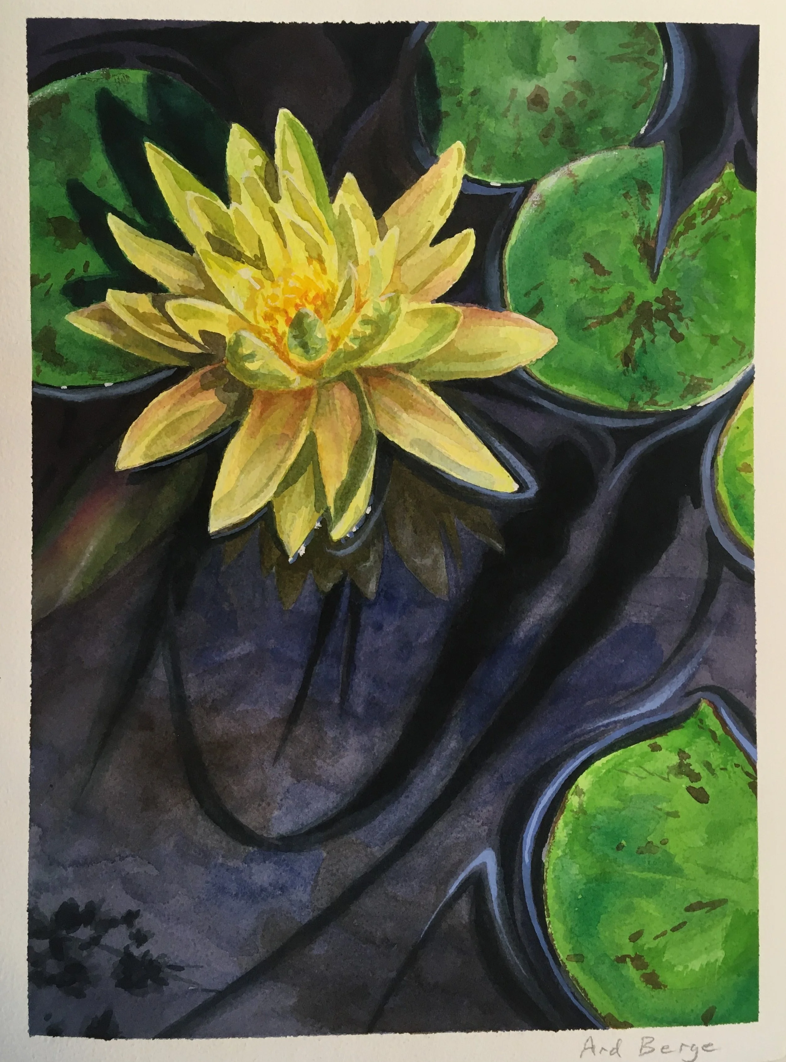 “Water Lily with Reflections”, August 2020, Watercolor and gouache on Arches paper, approx. 15” h x 11”w.  Found in the “Watercolor" series. 