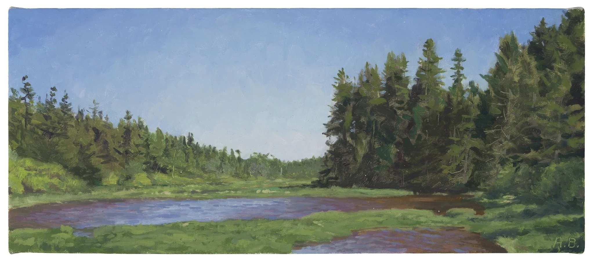 "Schoodic Wetland", June 2015, oil on linen, 6"h. x 14"w.  Private collection.