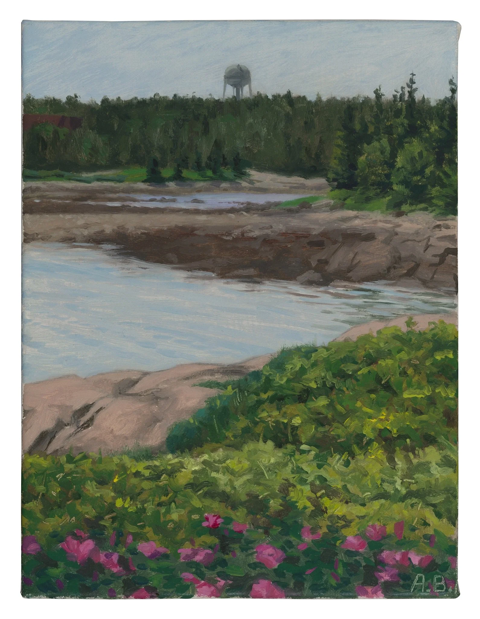 "Rosa Rugosa at Blueberry Hill, Schoodic Point, Acadia, Maine", June 2015, oil on linen, 8"h. x 6"w.  