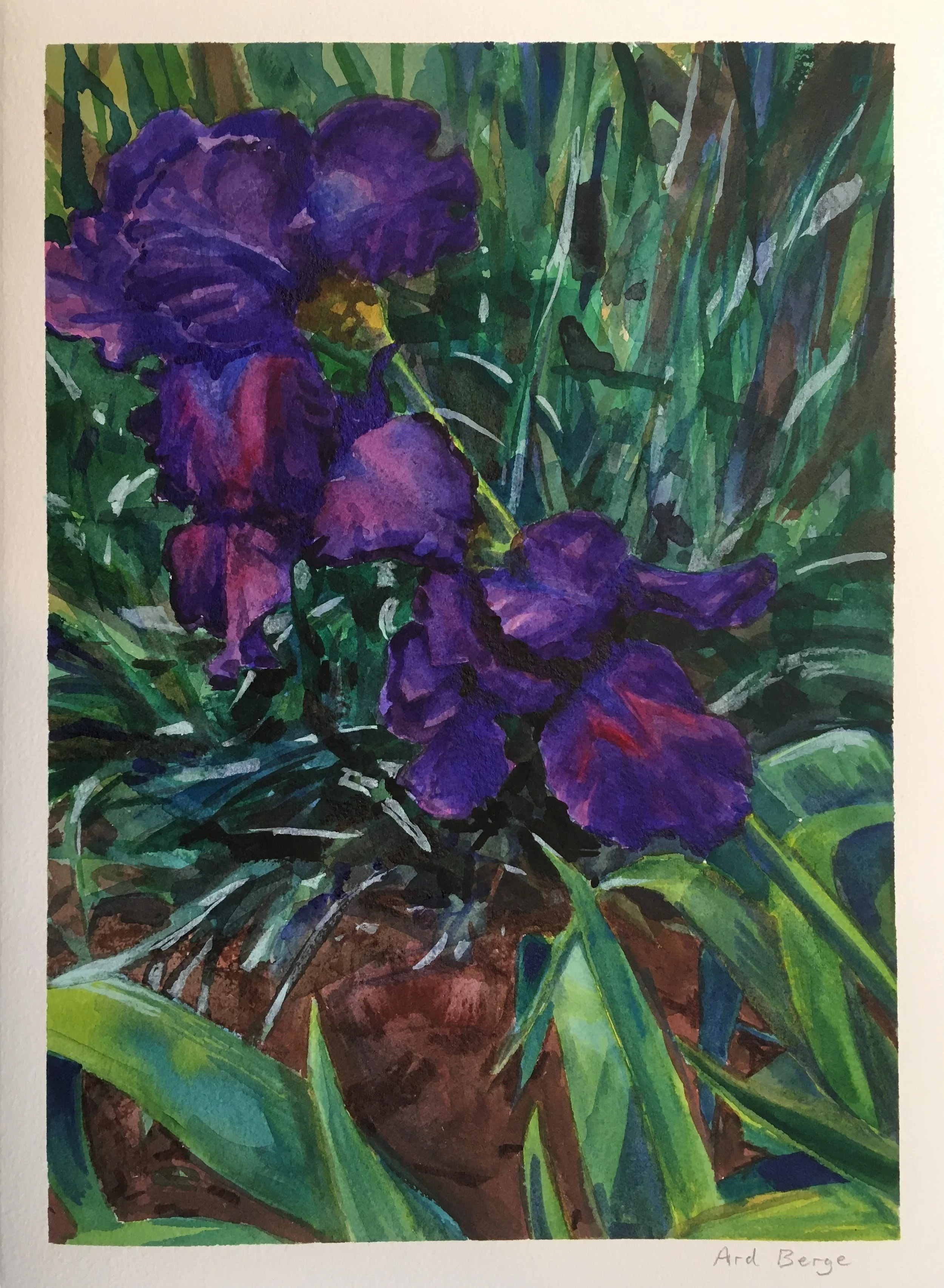 "Purple Iris", 2020, watercolor, ink, and gouache on Arches paper.  Private collection.