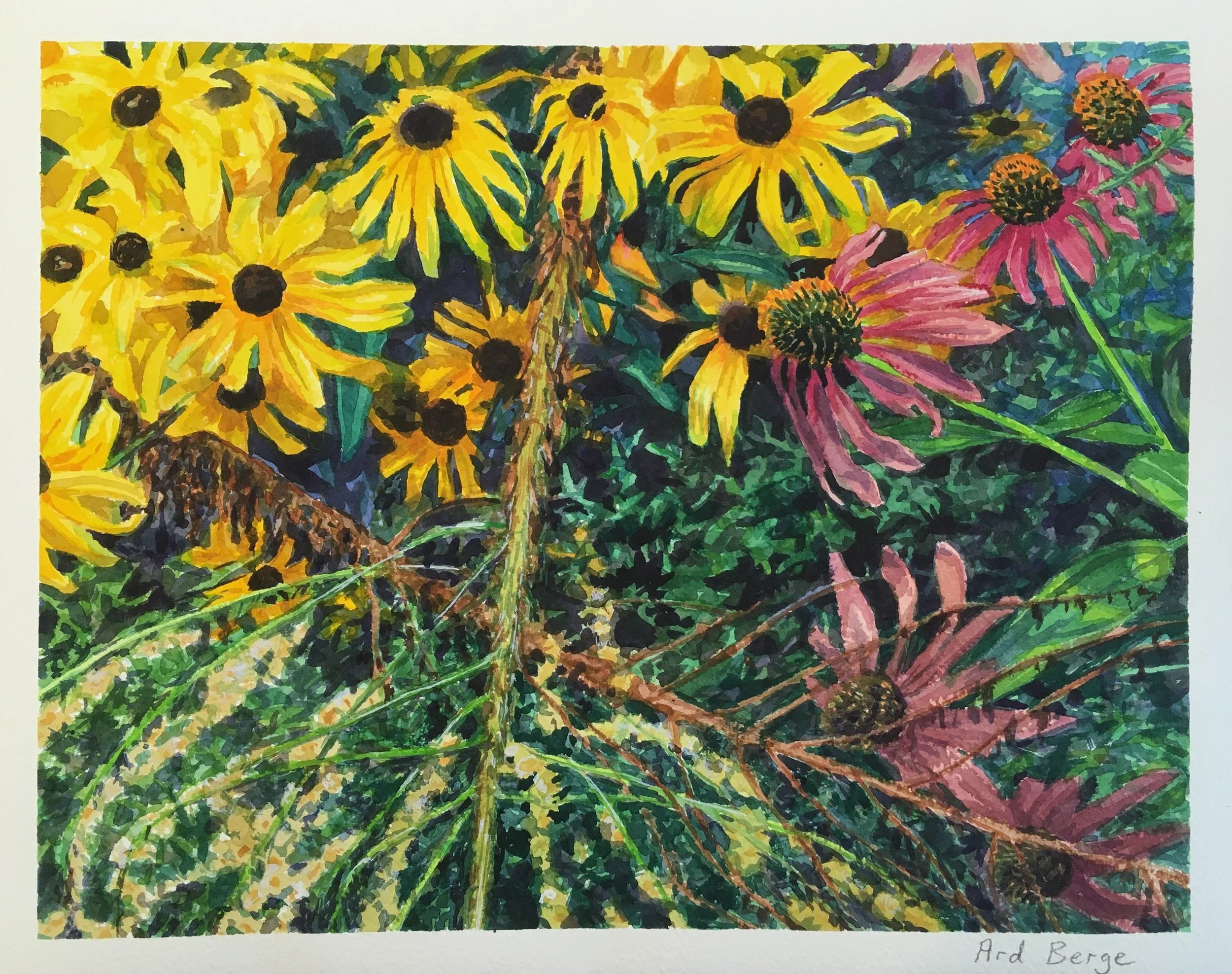 "Black-Eyed Susans and Echinacea", August 2020, watercolor and gouache on Arches paper.
