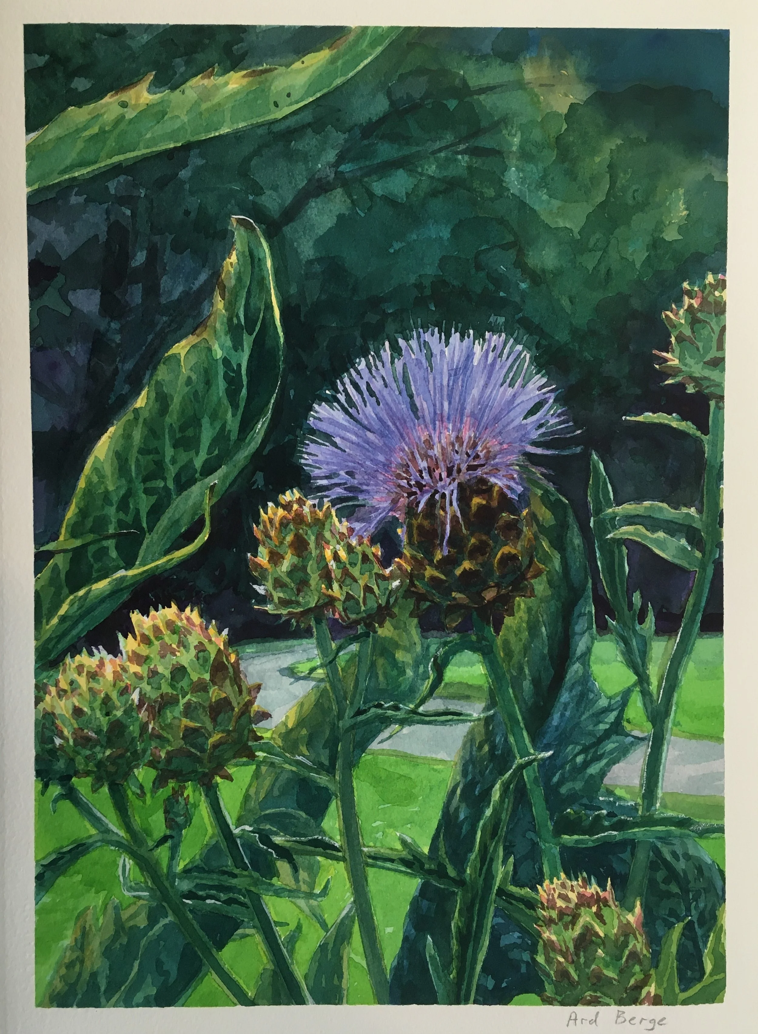 "Globe Artichokes", 2020, watercolor, ink, and gouache on Arches paper.  Private collection.