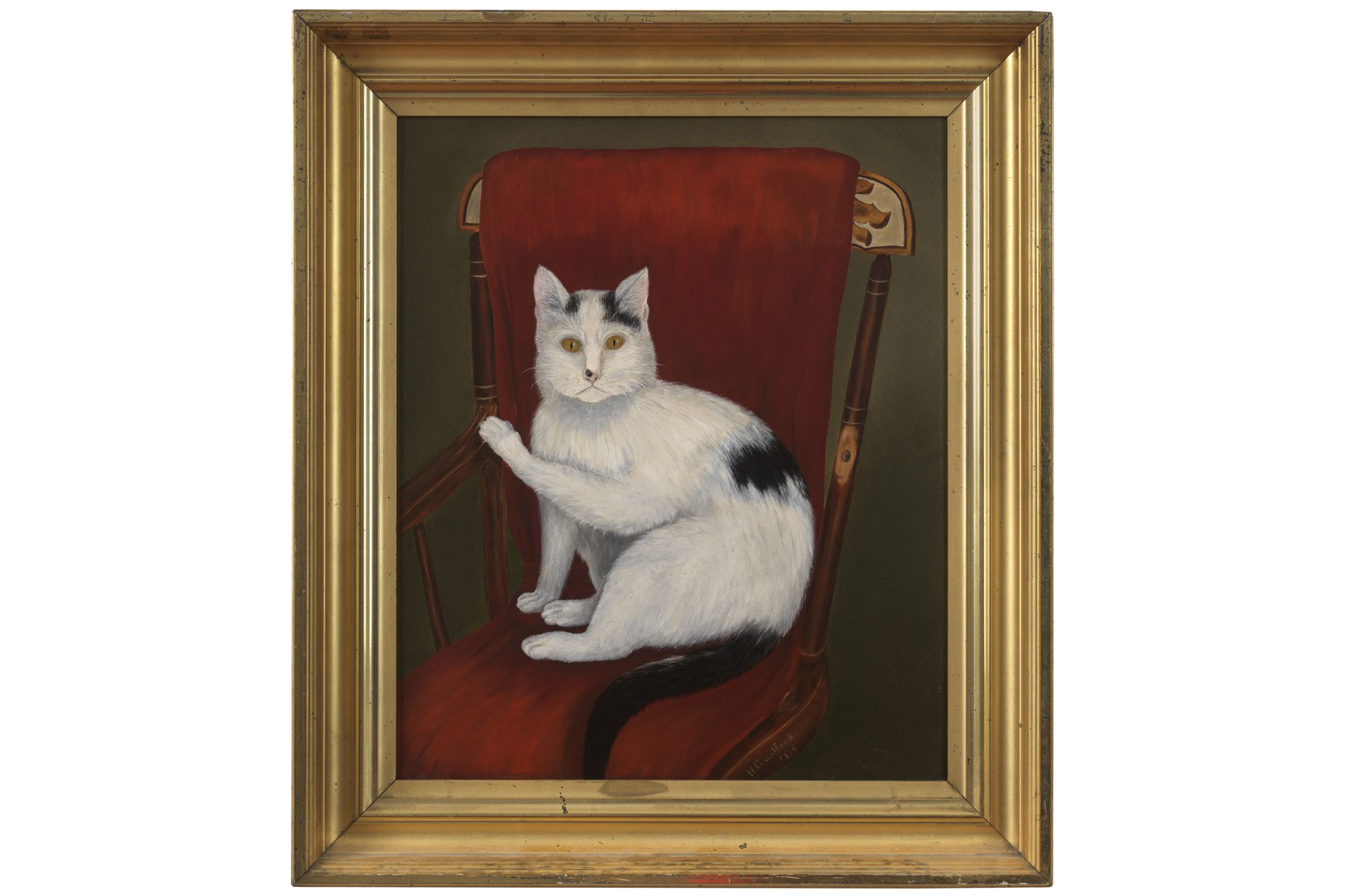 Cat-Gillord-2.png