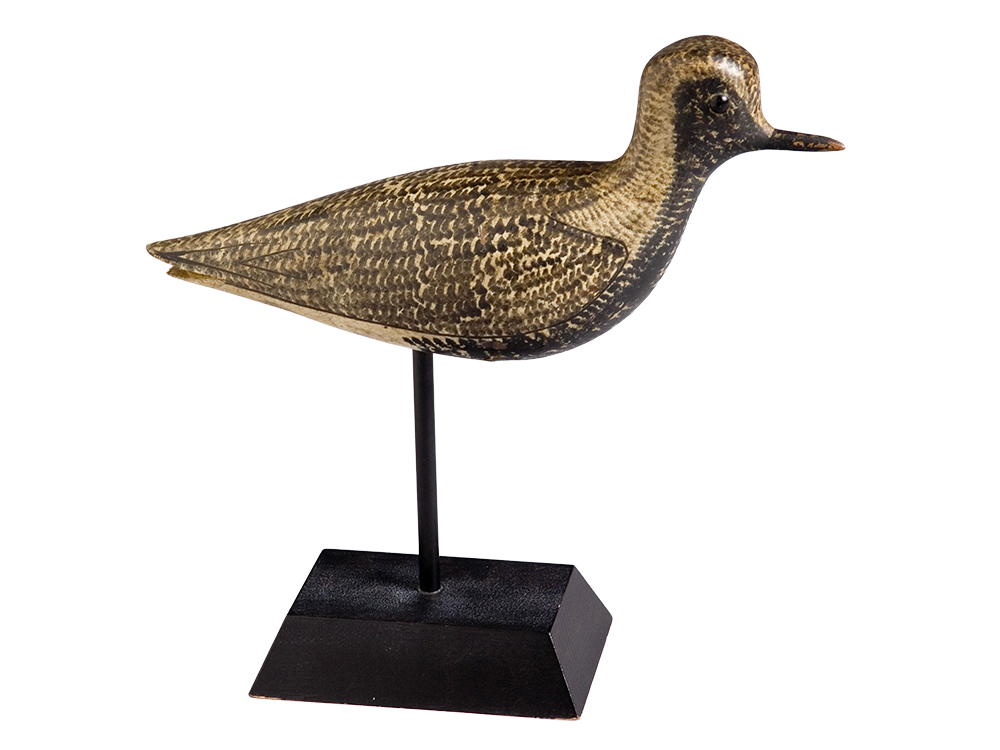 Black-Bellied Plover Shorebird Decoy