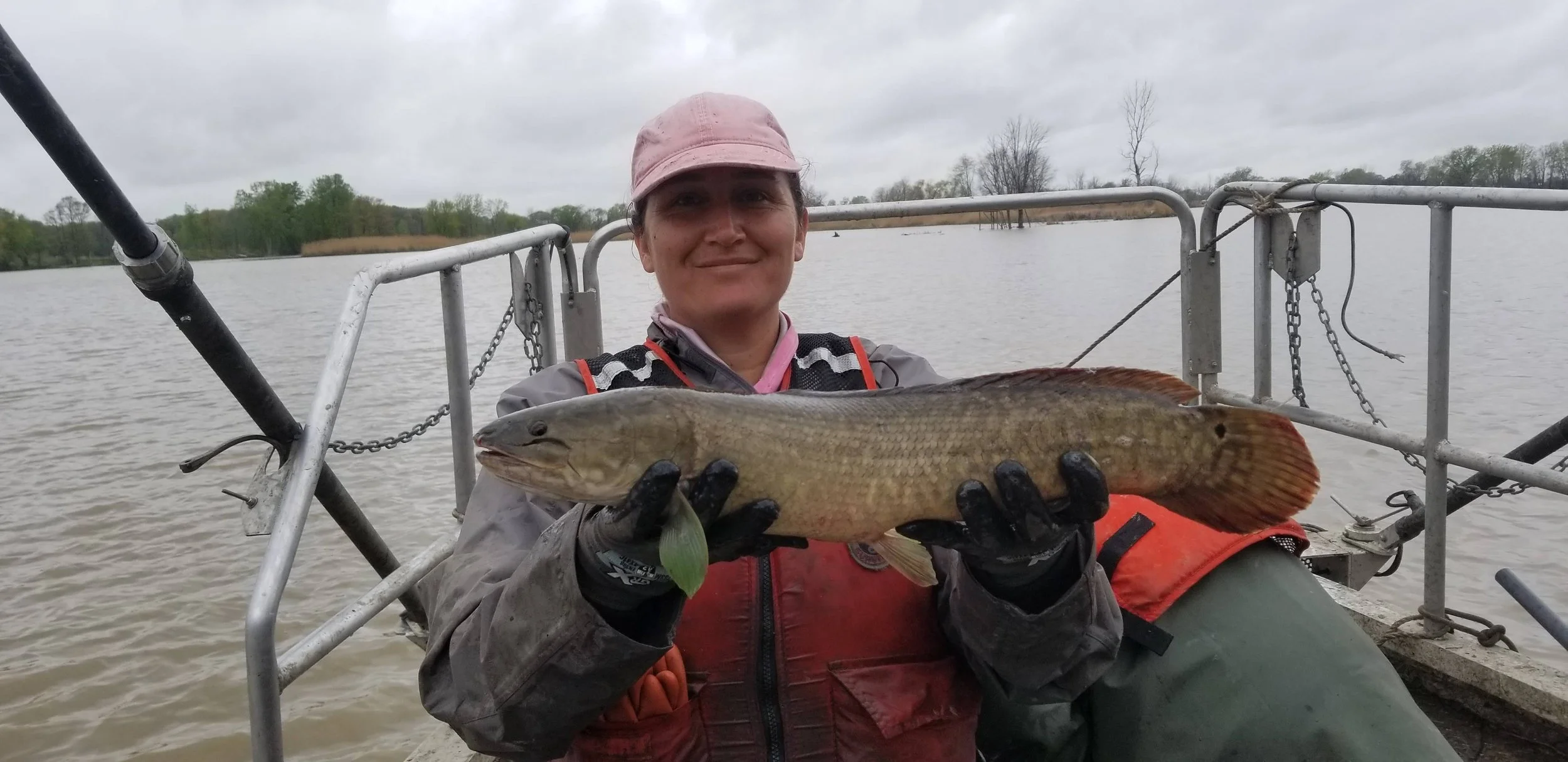 Person in a boat holding a large fish with trees and water in the background.
