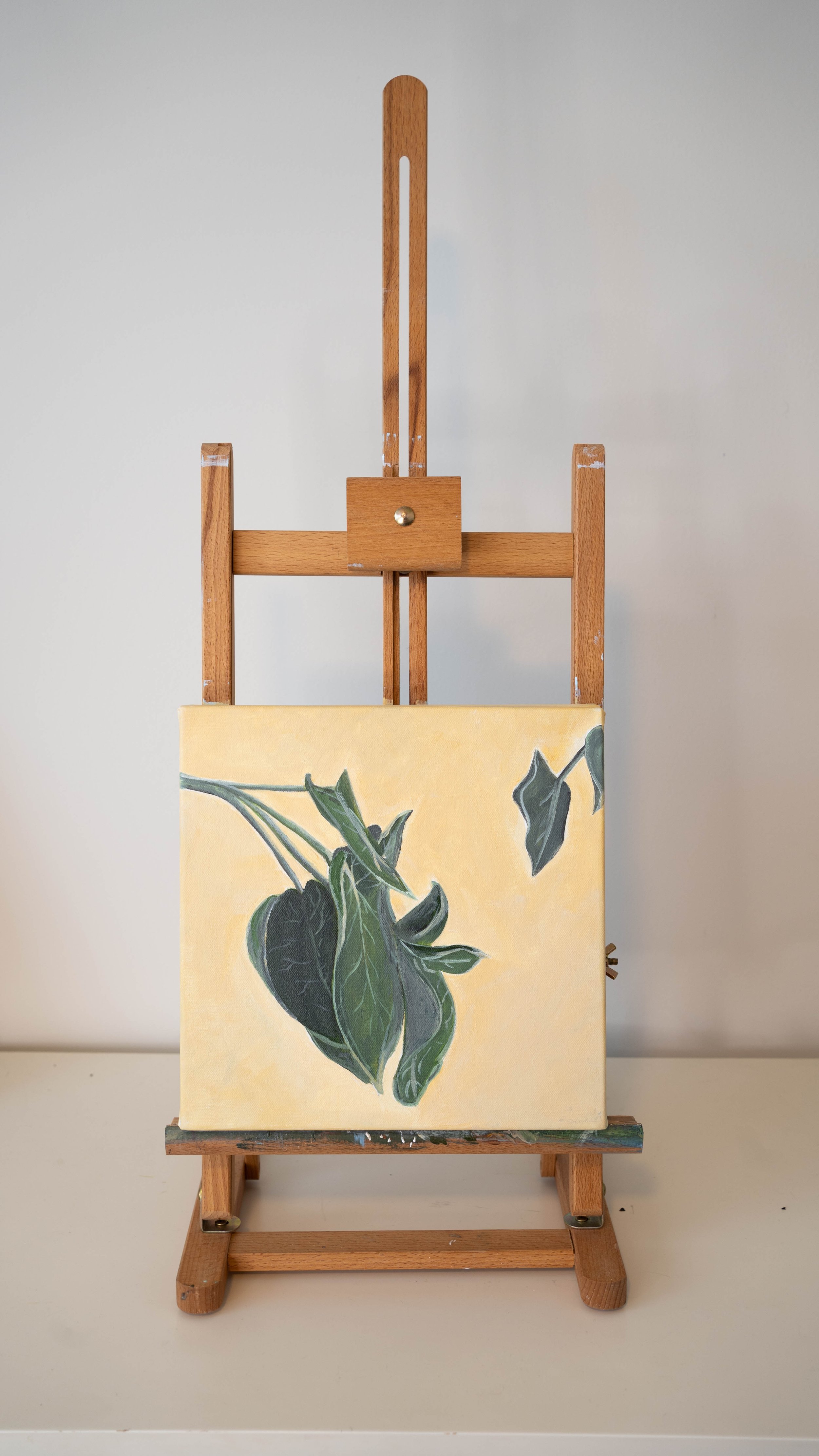 Studio Marie CO-15.jpg