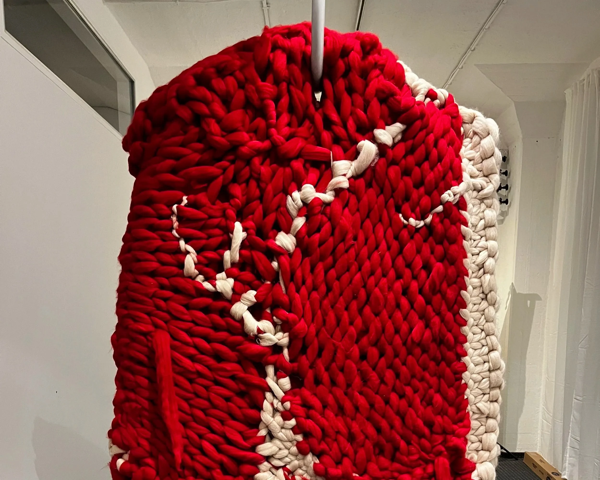 sehr großes Steak aus Wolle gestrickt von Michael Schwarz.jpg