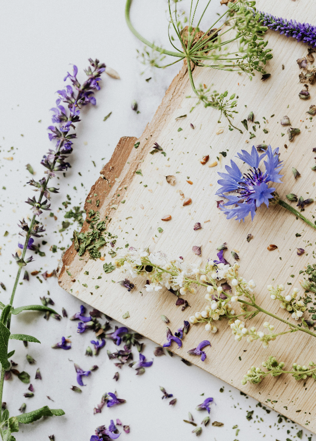 Assorted wildflowers and herbs scattered on a wooden surface with a white background.