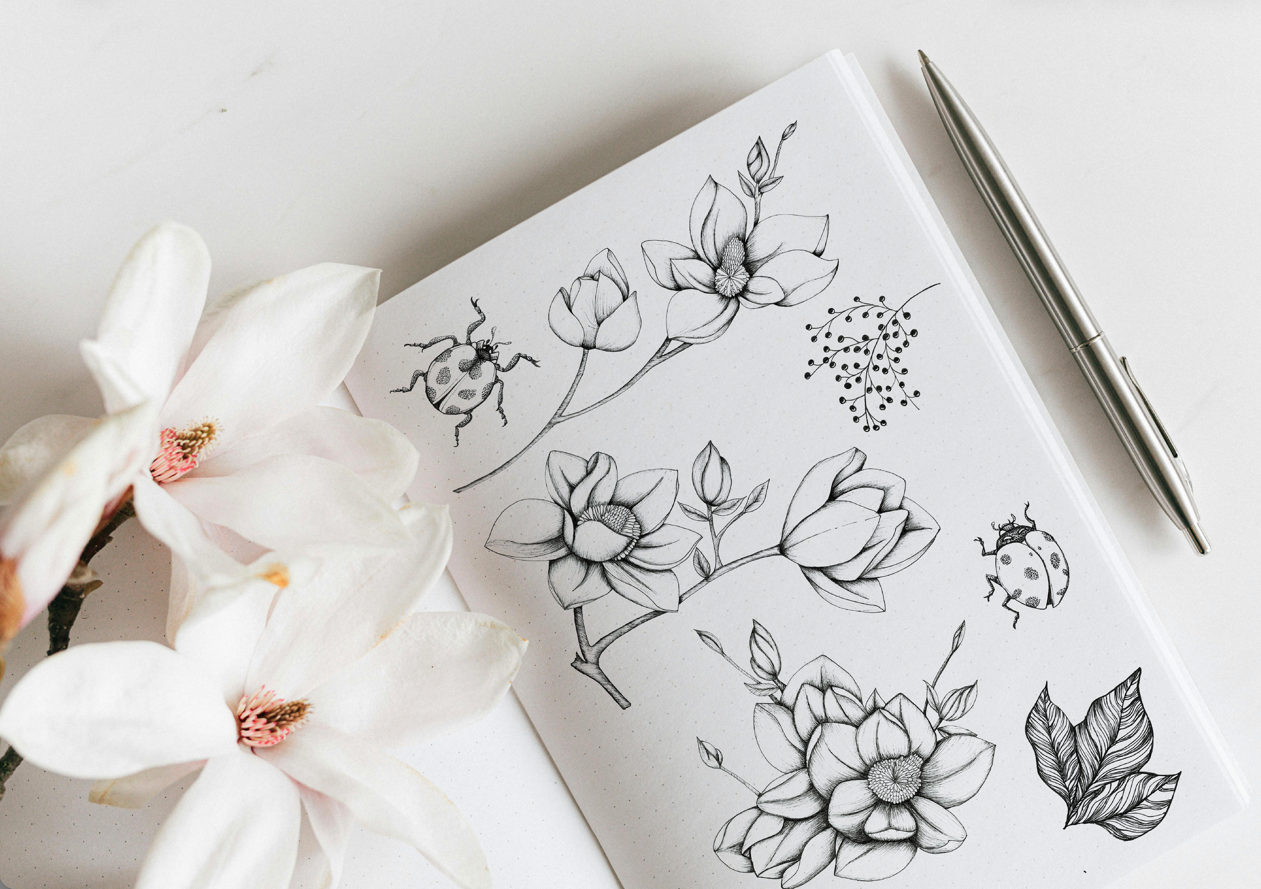 Ilustración digital & tradicional