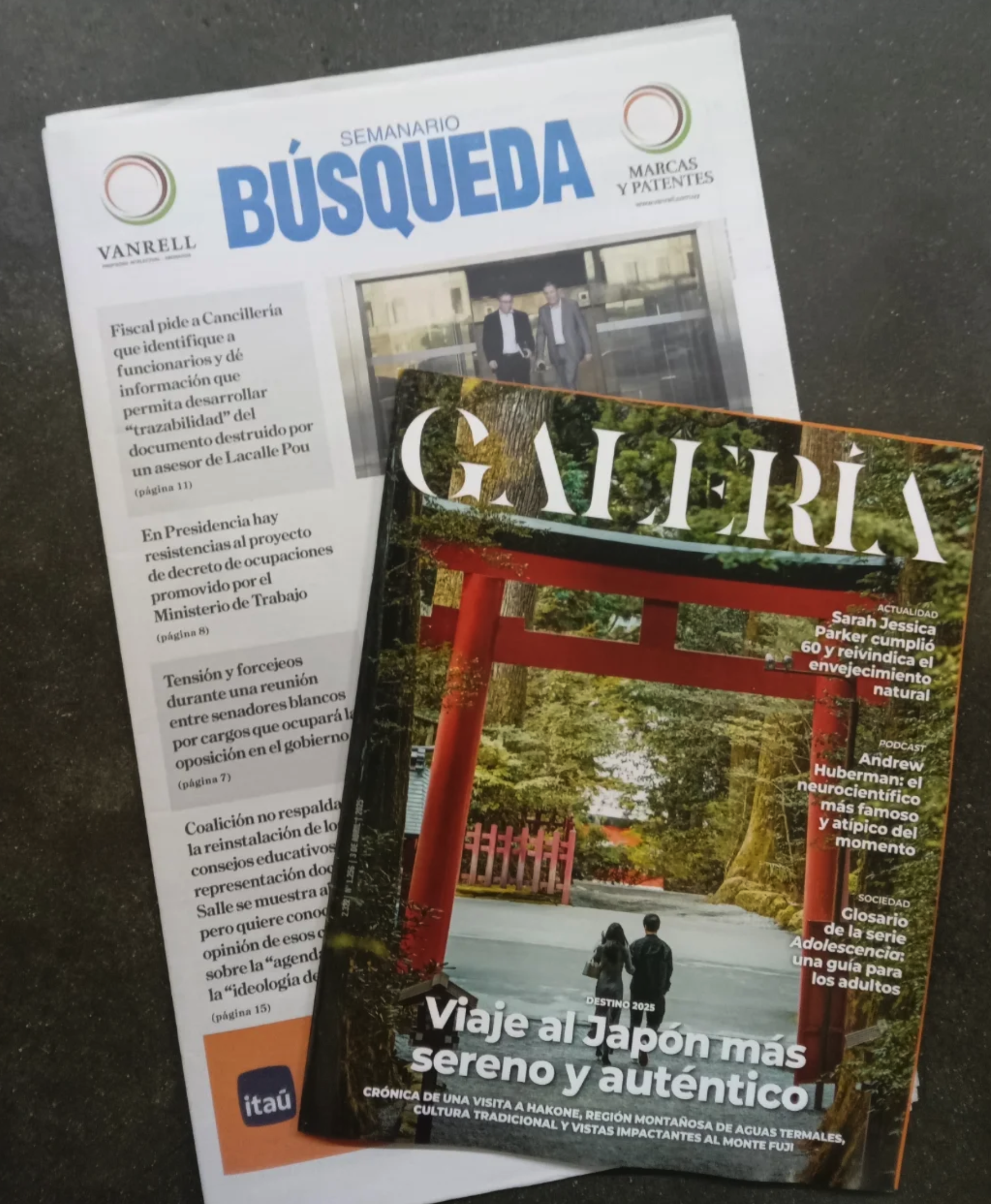 Captura de pantalla 2026-03-09 a las 14.05.50.png